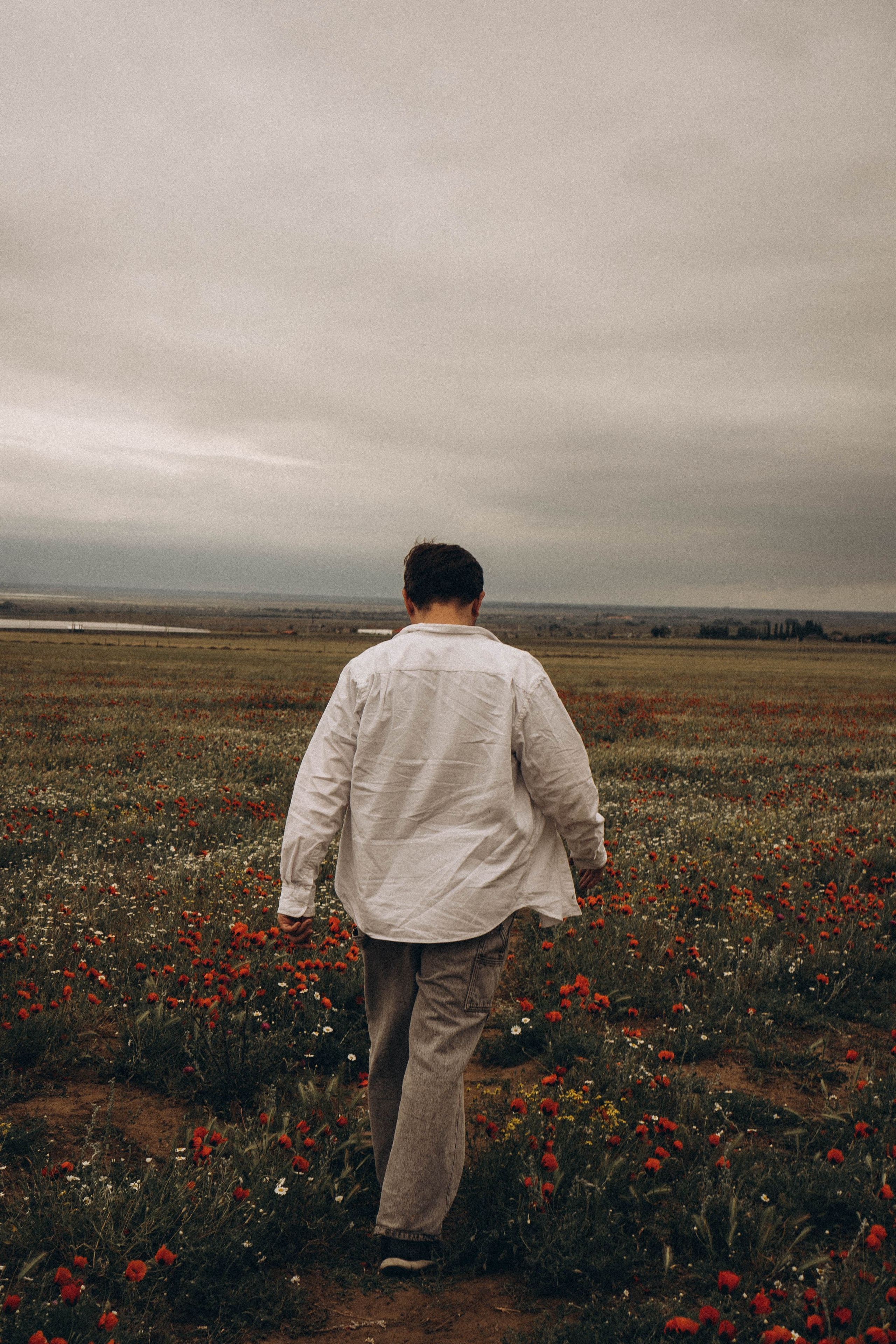 Маки. Профессиональный фотограф, Санкт-Петербург — Виктория Богомолова