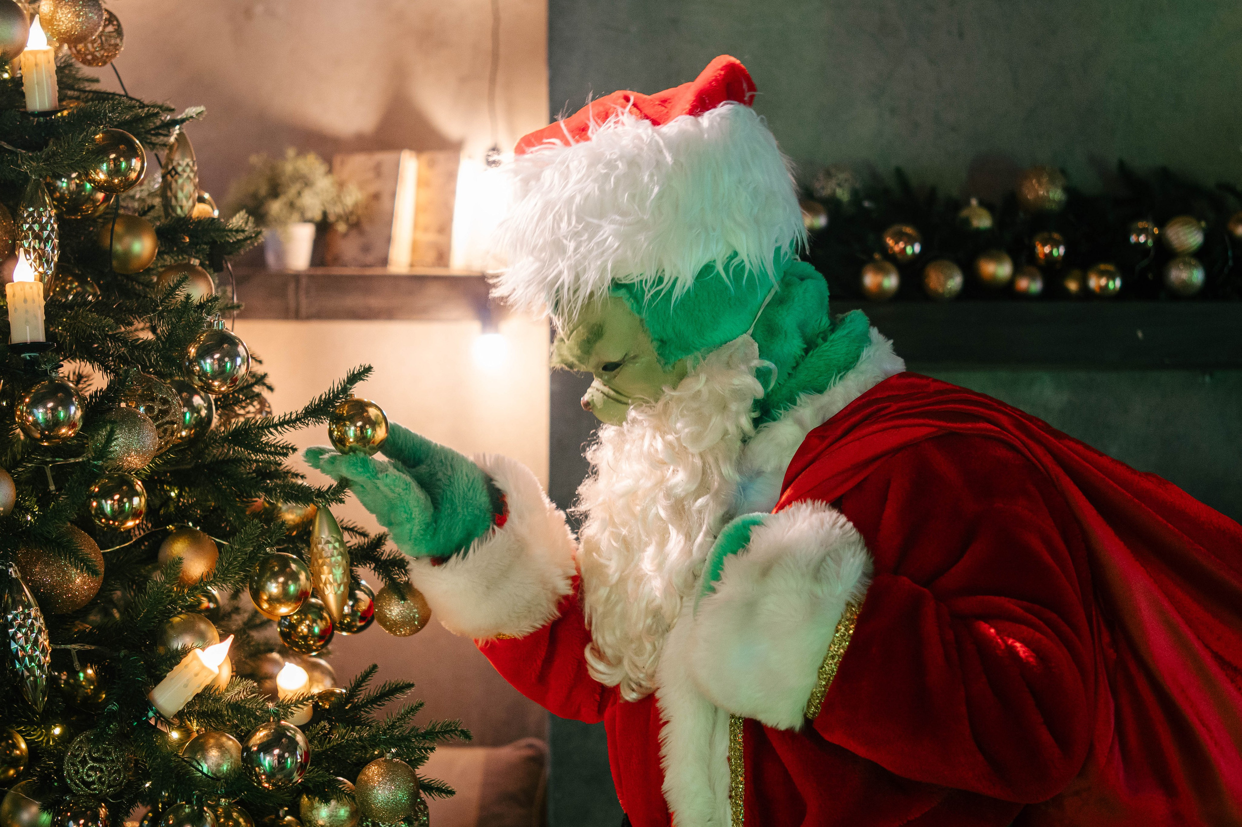 Гринч Circus Zone. Фотограф / видеограф в Москве и Сочи Sofia Riversong