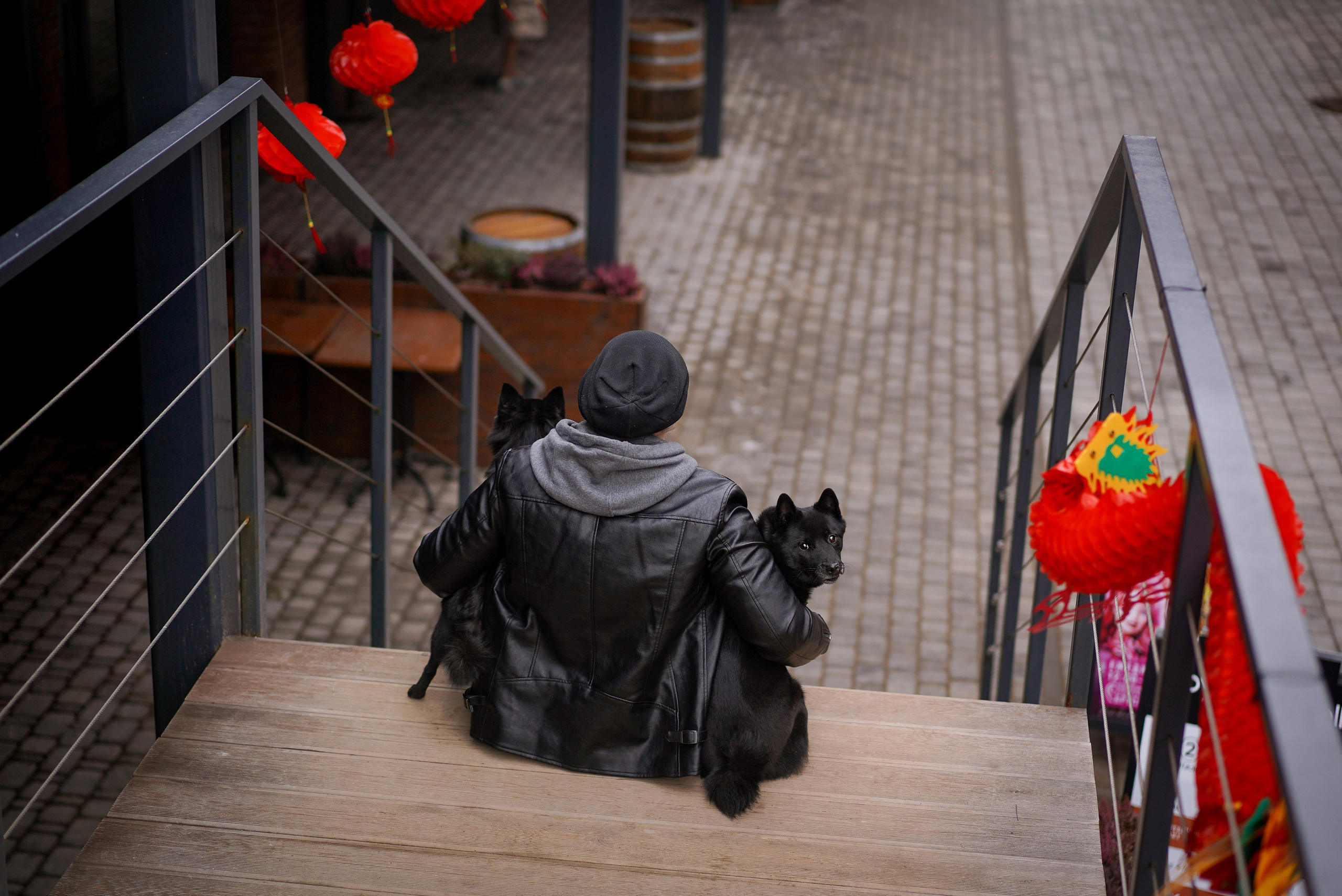 Аня Арчи и Мишель. Фотограф-анималист в Санкт-Петербурге Яна Мартынова