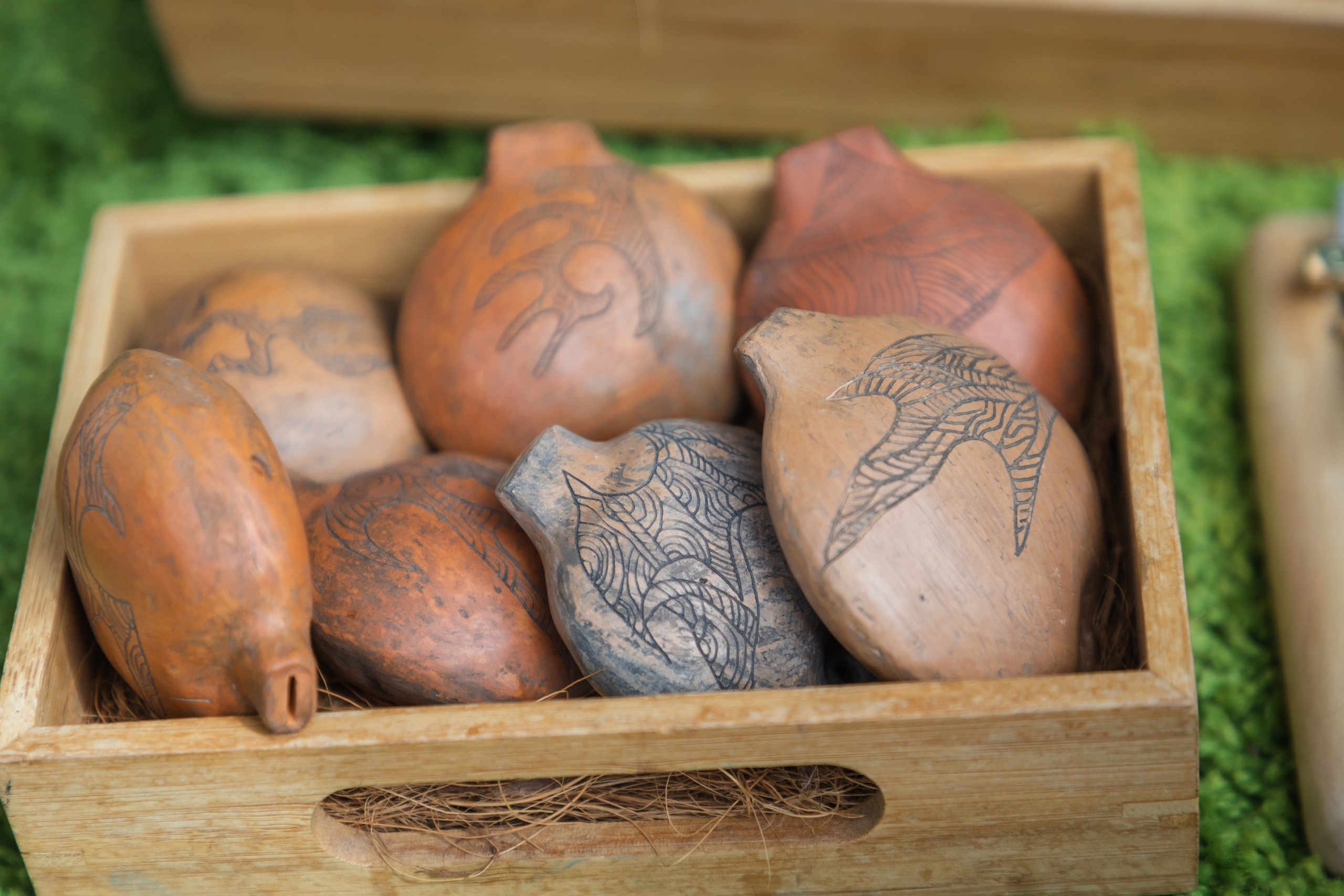 Эвер Джаз. Главная