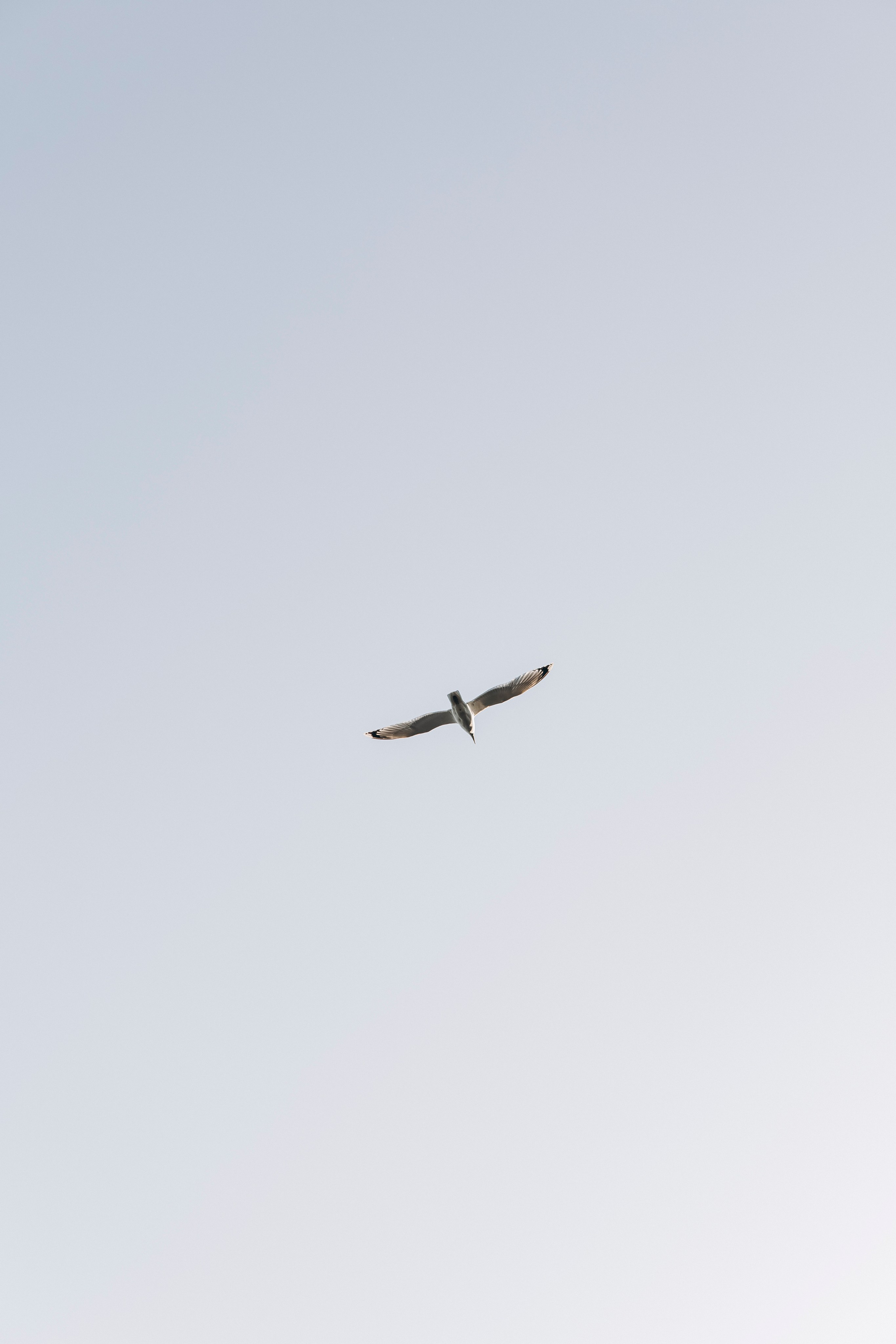 Аня и Дима. Портретный фотограф в Минске