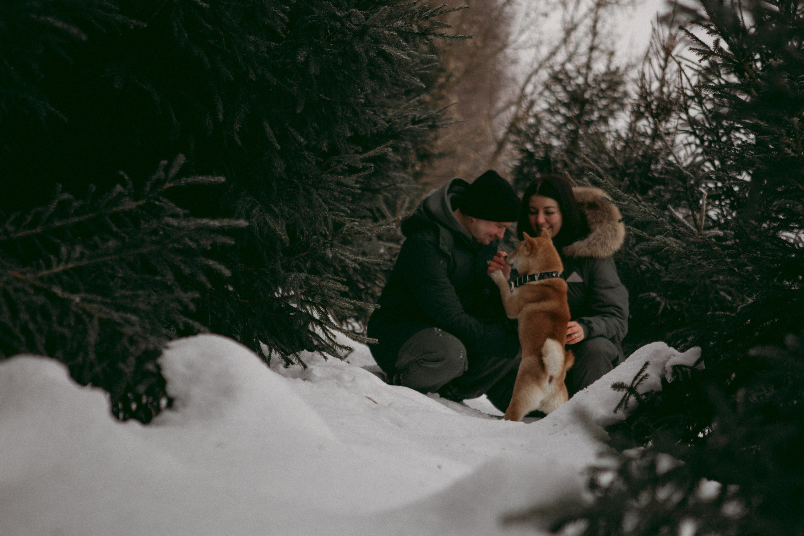 Katya, Dima, Rokki. Portrait, family and pet photographer in Cyprus, Ksenia Bourdelle