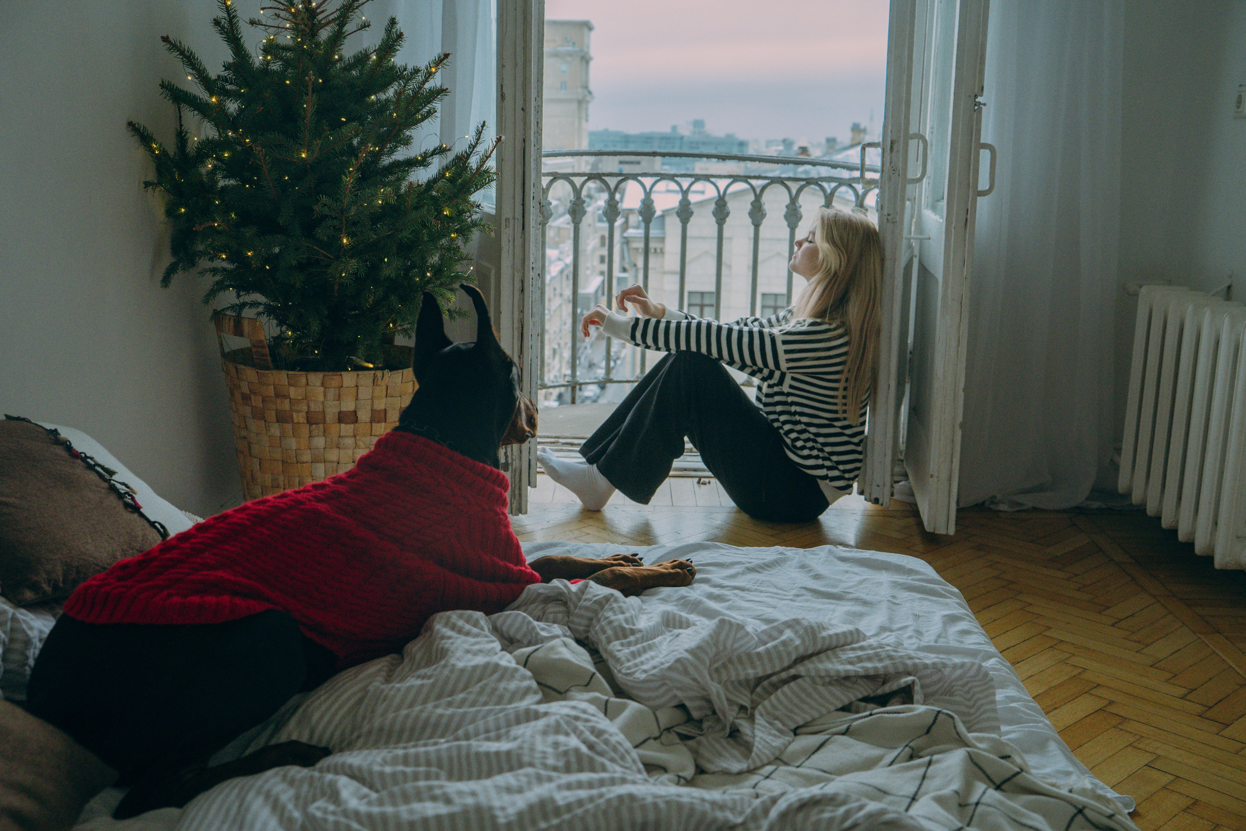 Саша и Асти. Фотограф анималист в Москве и Санкт-Петербурге Свиридова Анна