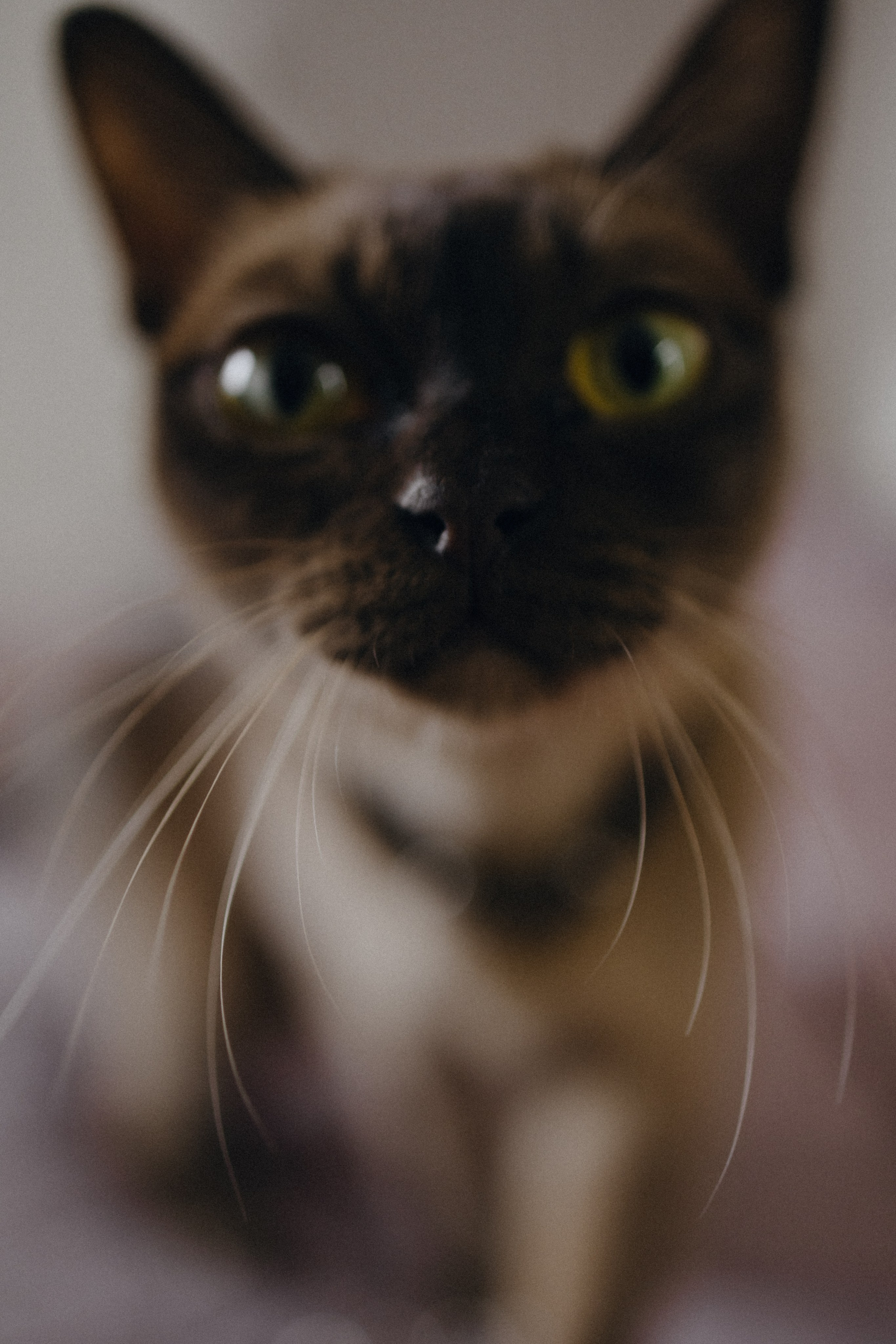 Анонс со свадьбы Надежды и Руслана. Свадебный фотограф Москва и другие города