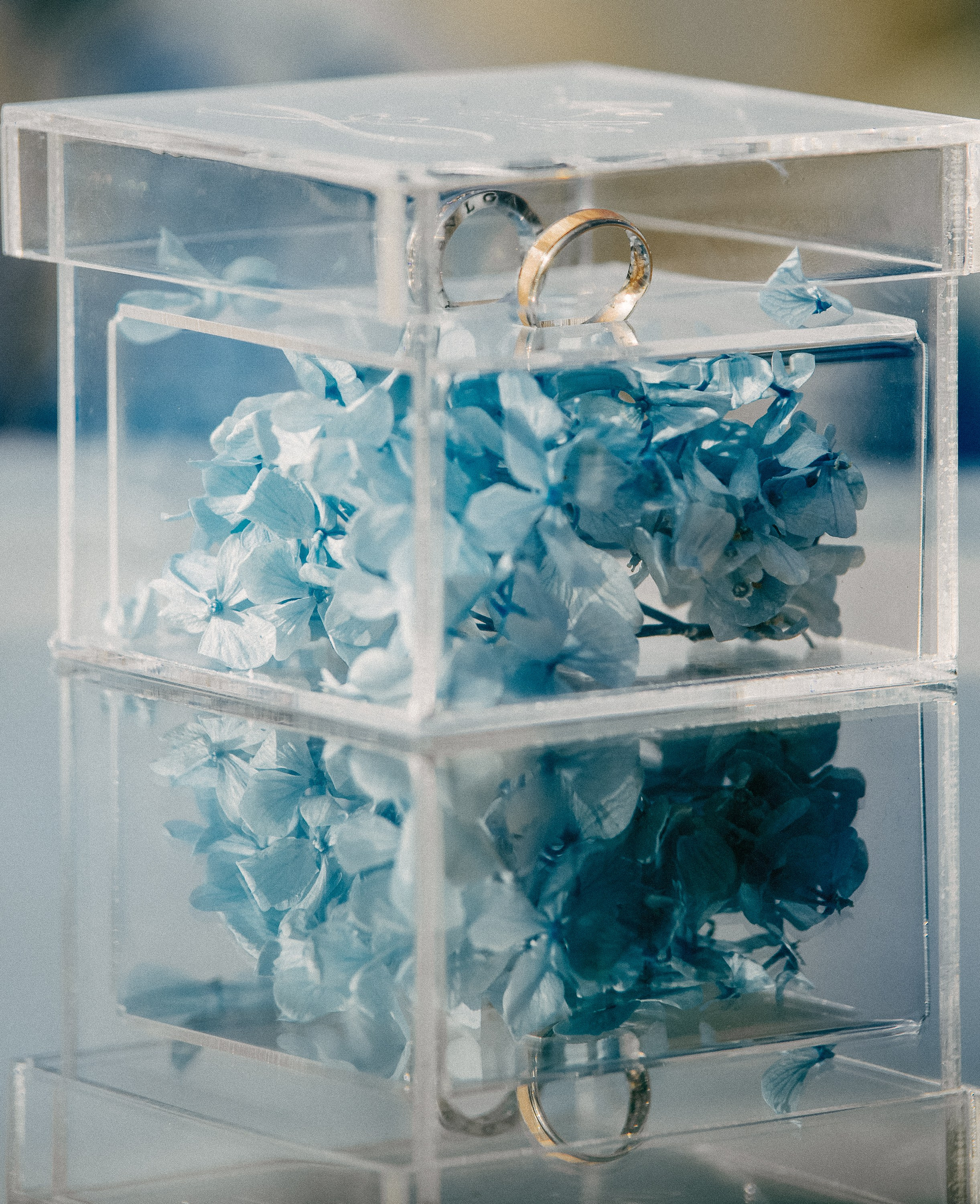 Виталий и Анна. Свадебный и семейный фотограф в Курске Николай Бусел