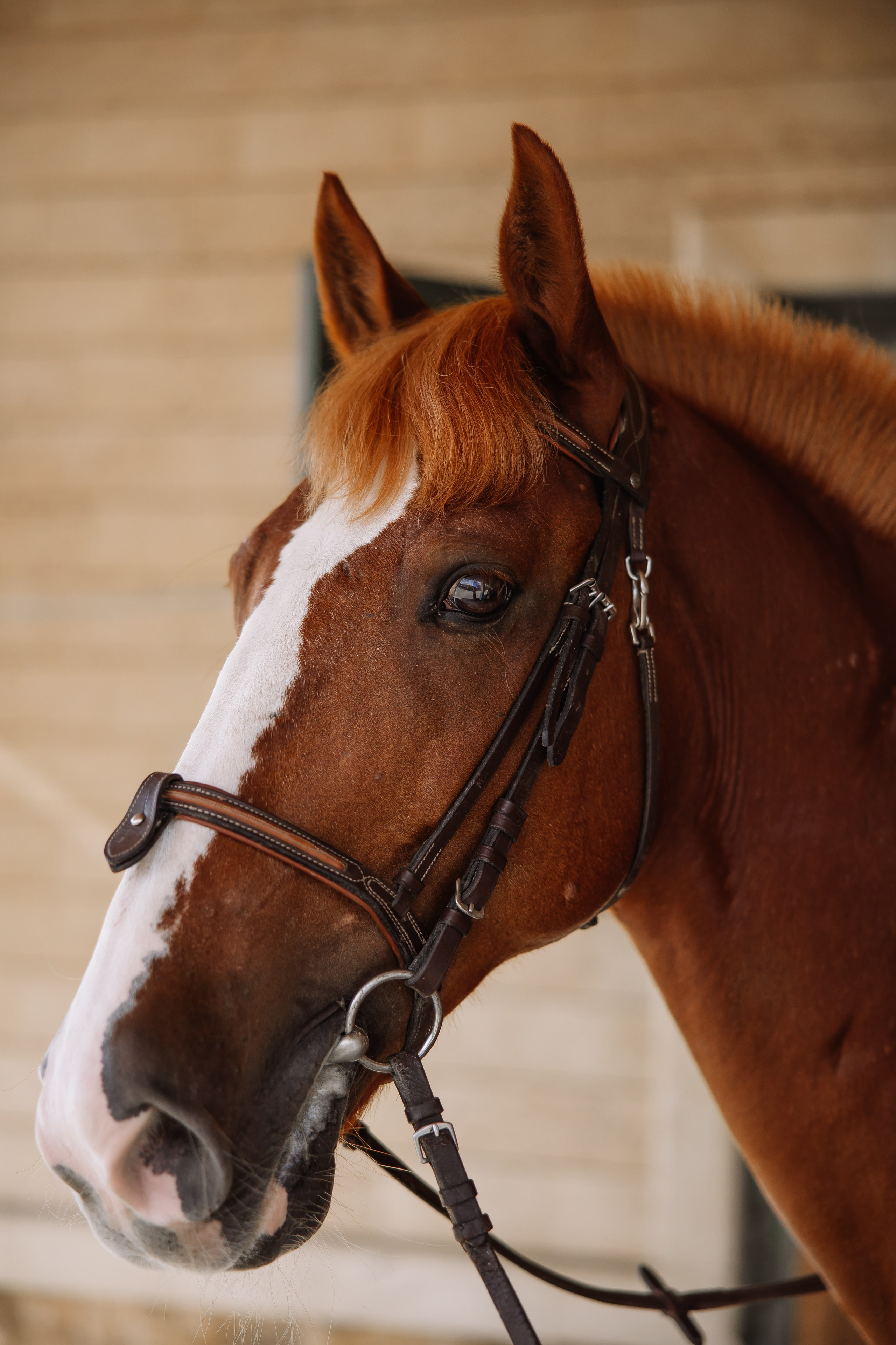 Фотограф в Краснодаре