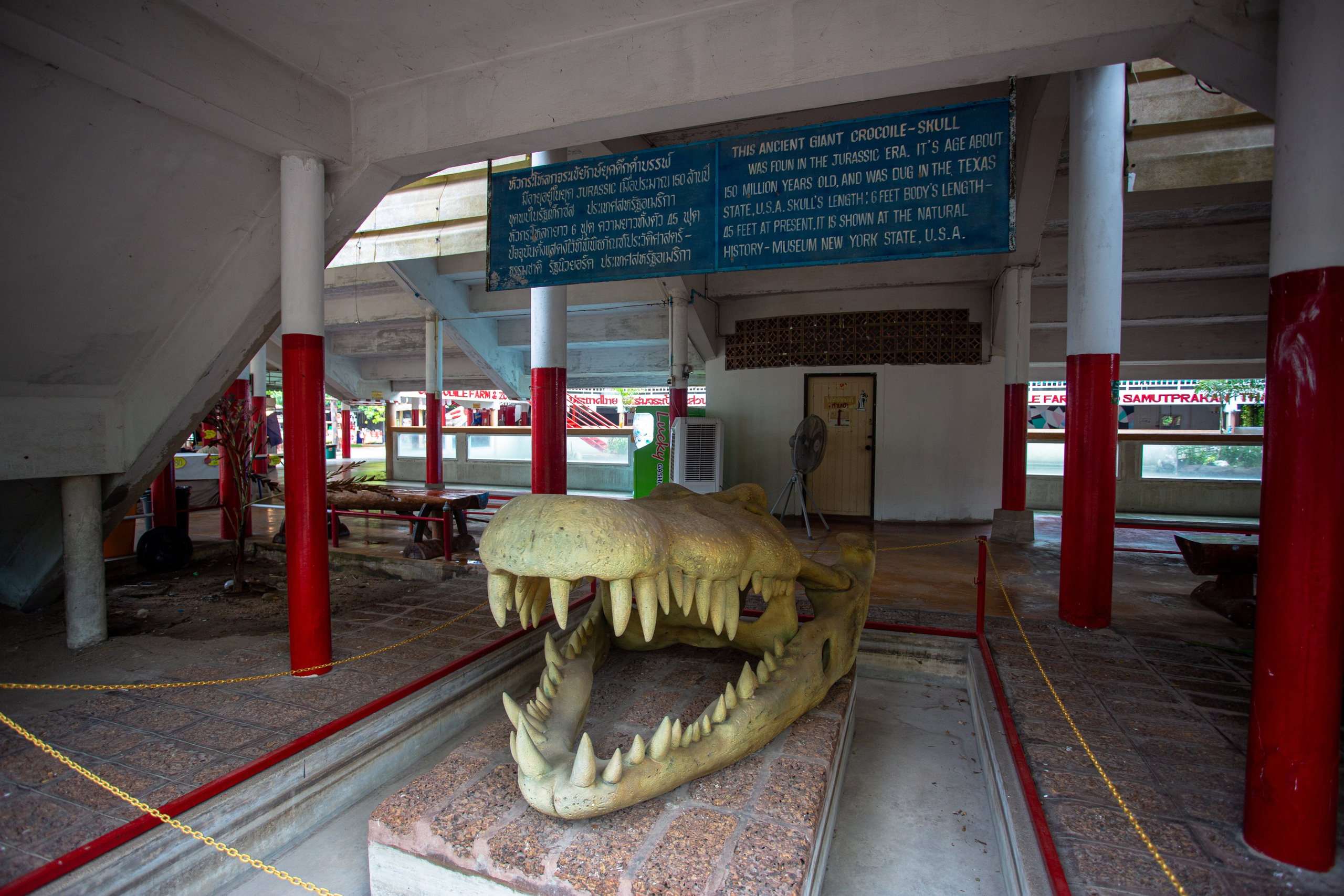 Samut Prakan Crocodile Farm & Zoo. Photographer Sonkina Tatiana (Tanya Ash)