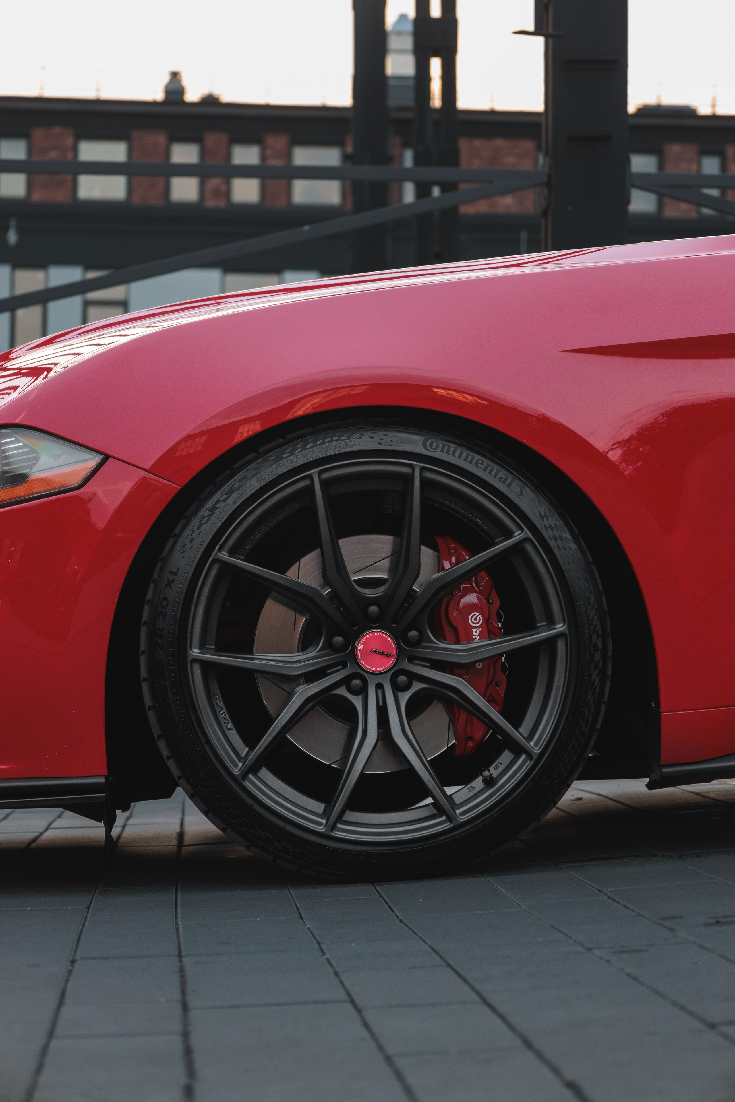 Mustang. Мелехов Дмитрий|Фотограф|Видеограф