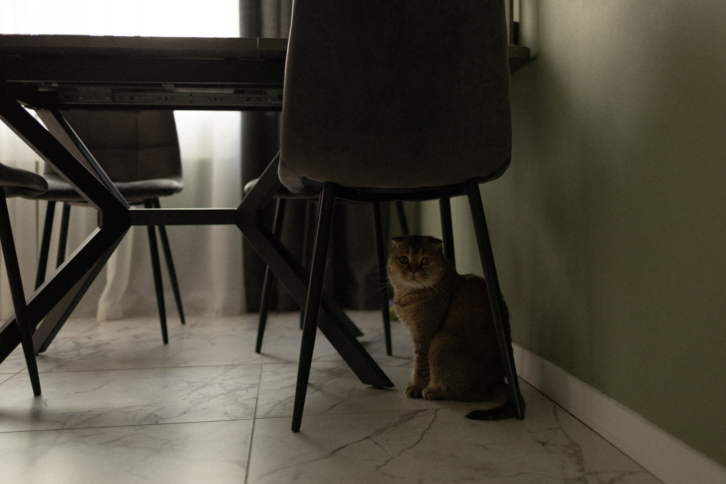 One. Фотограф Daria Wilner