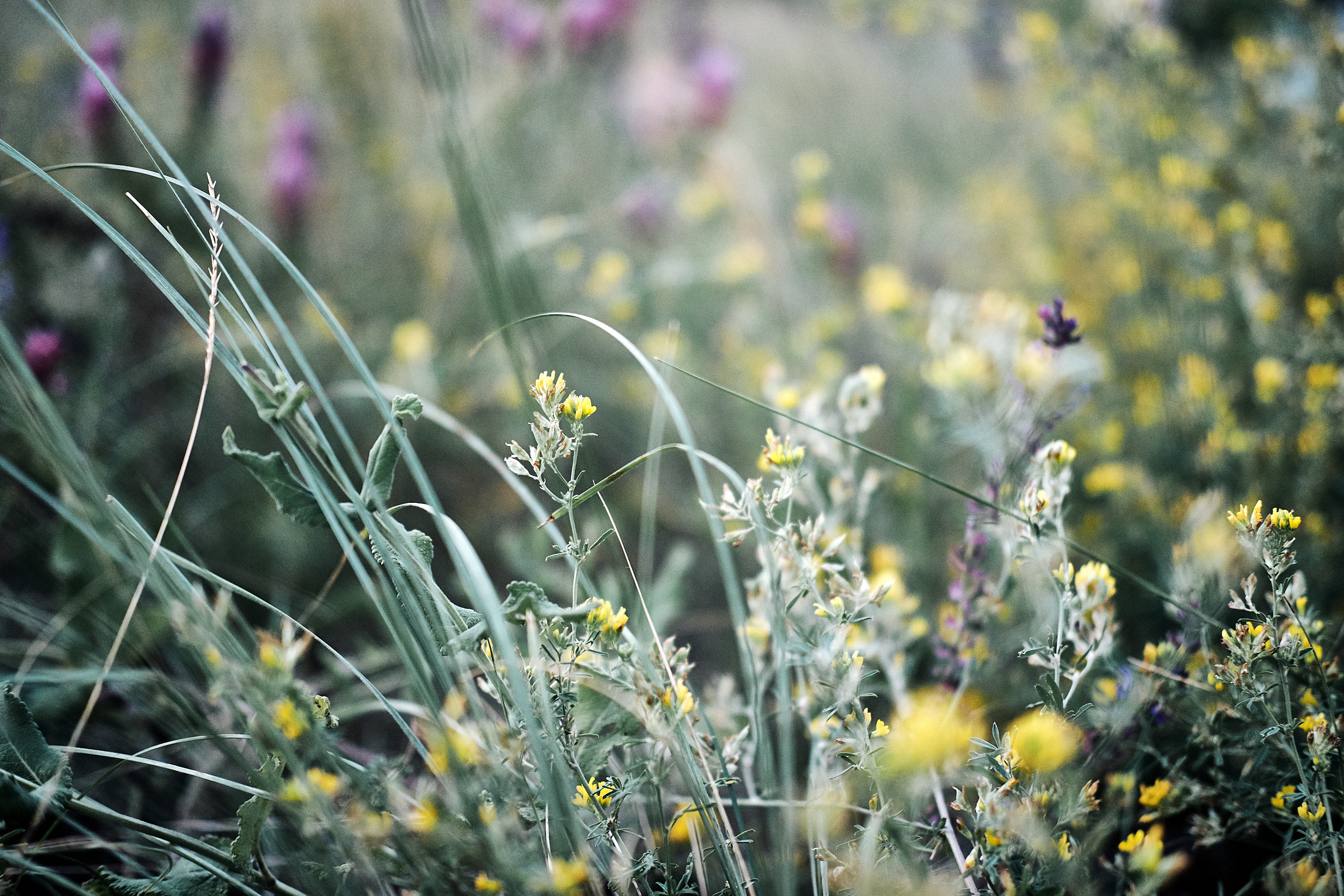 Прогулка Царев Курган. Женский и Семейный фотограф в г. Самара