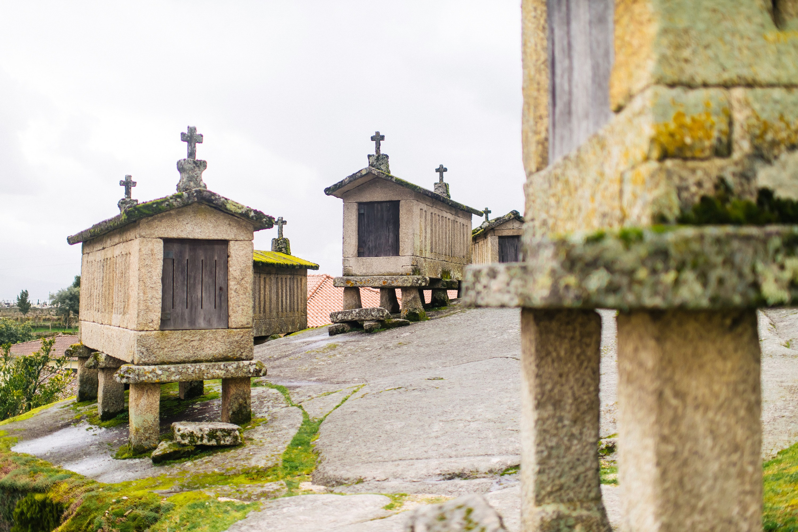 Свадебный фотограф Новосибирск