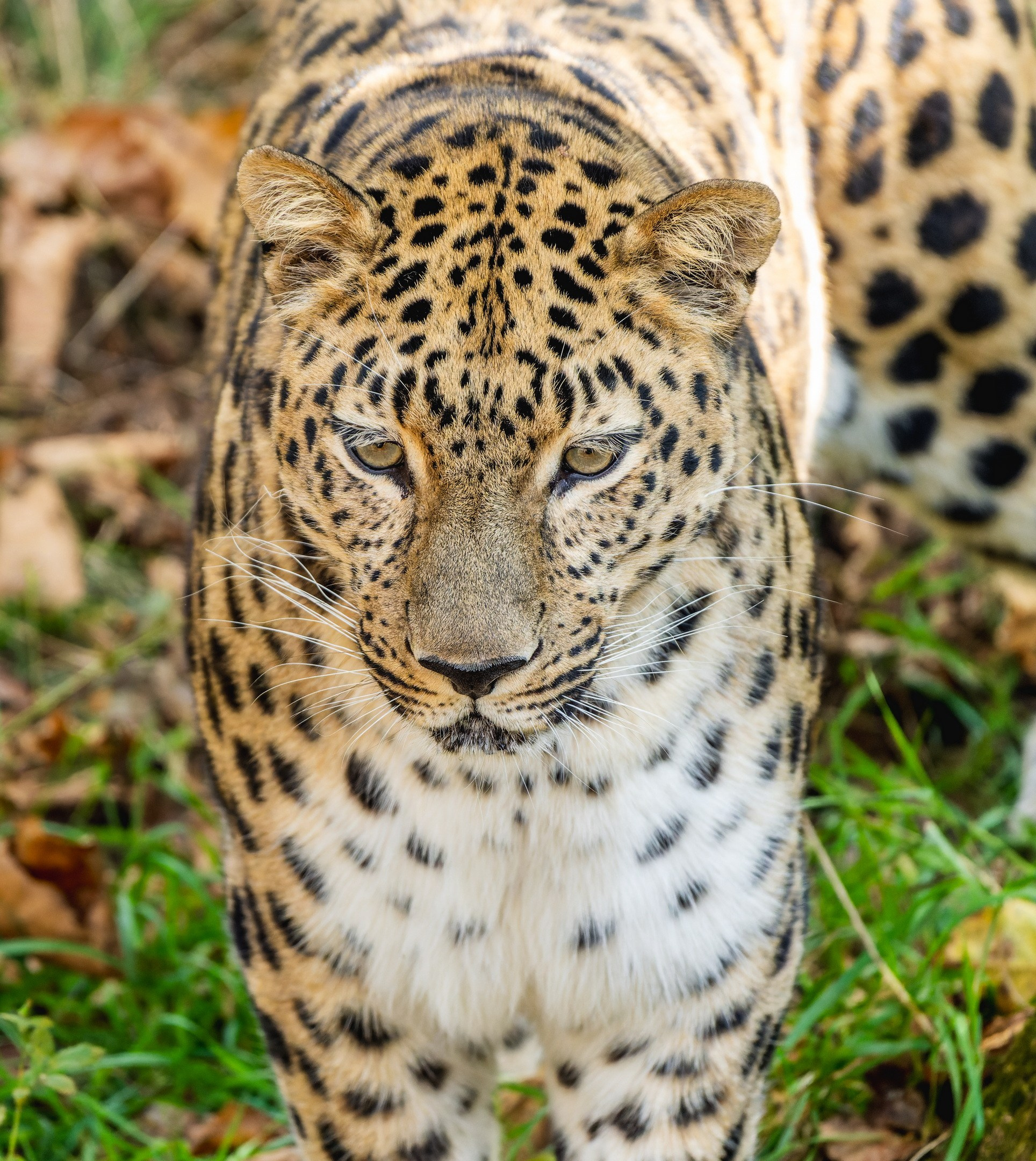 Мечты сбываются?!. Константин Дем | Фотограф