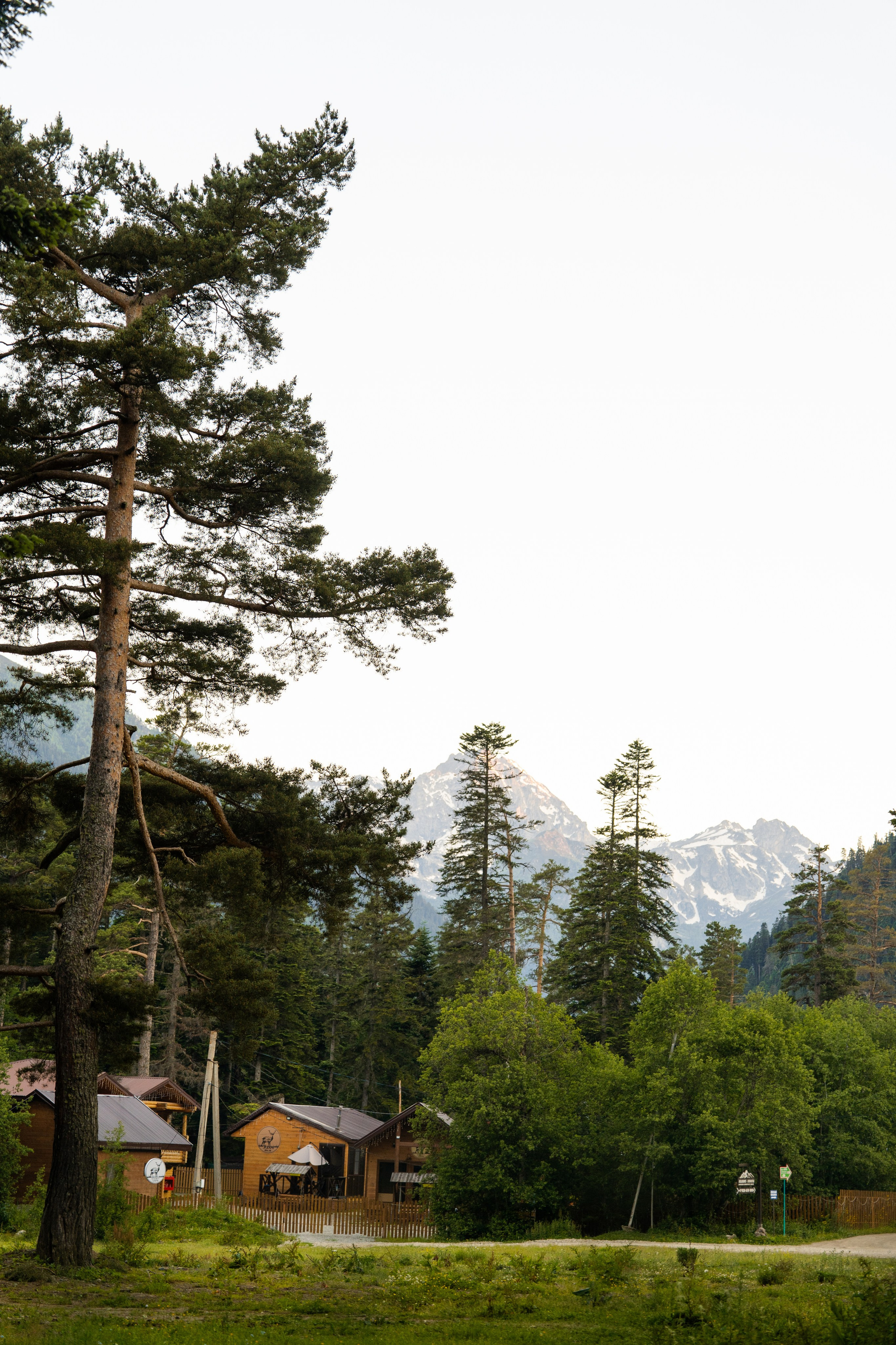 Green Park. Фотограф и видеограф Елена Хмелевская