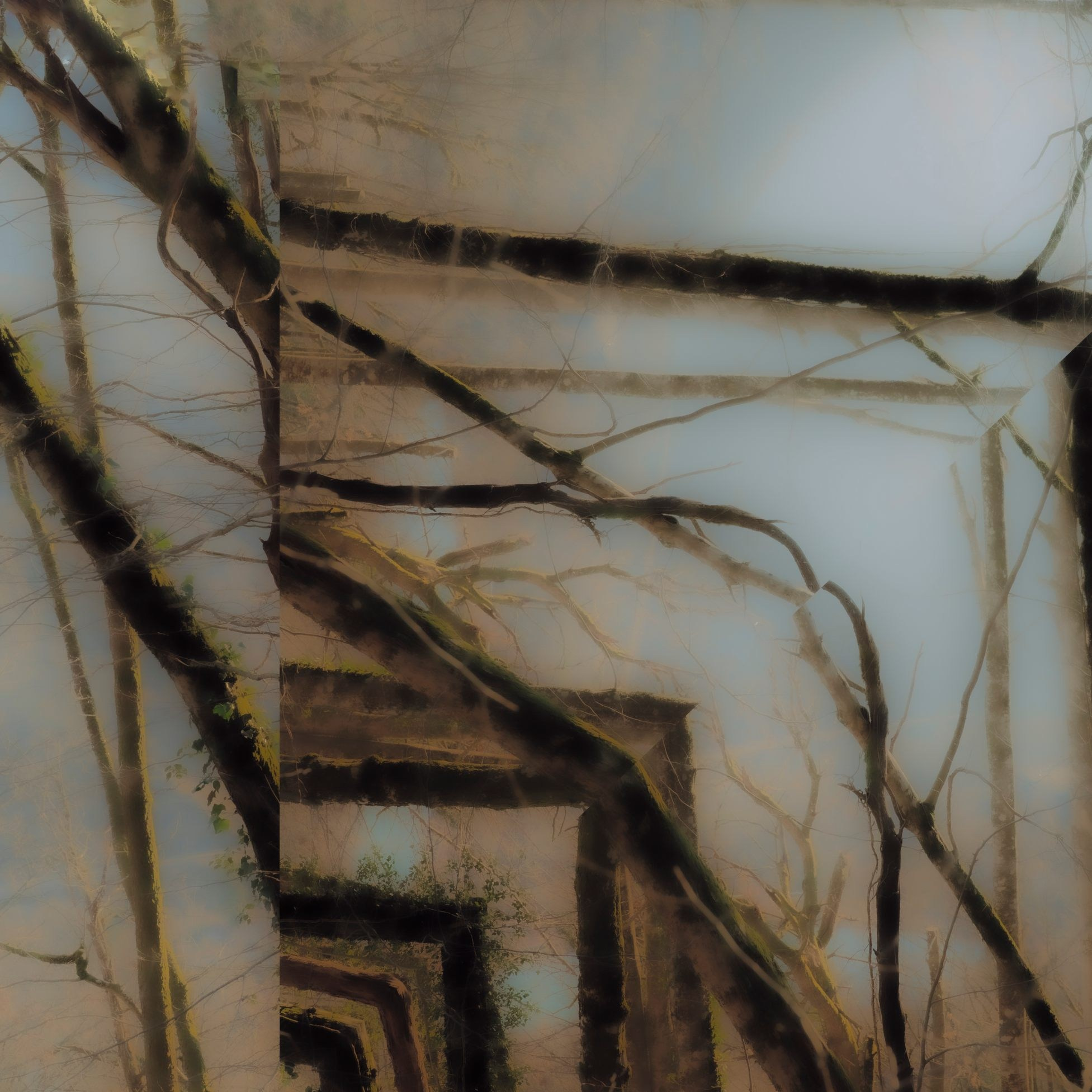 NATURE. Визуальный артист Наташа Солнцева