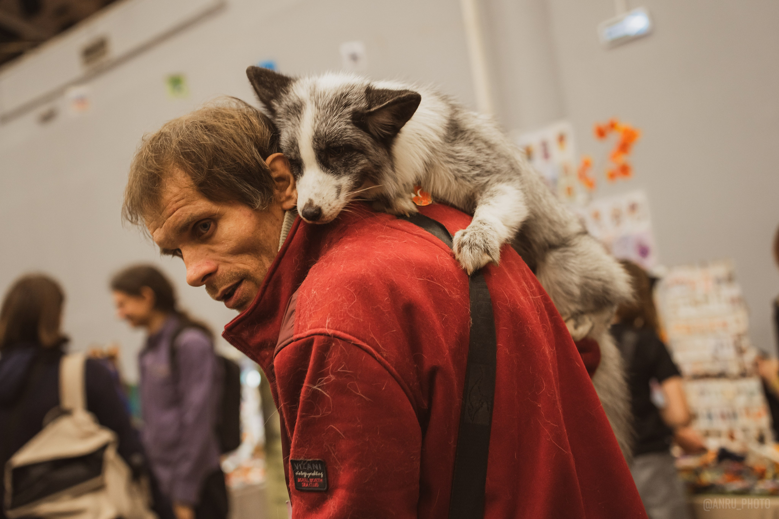 Fox Family fest. Репортажный фотограф Анастасия Рубцова