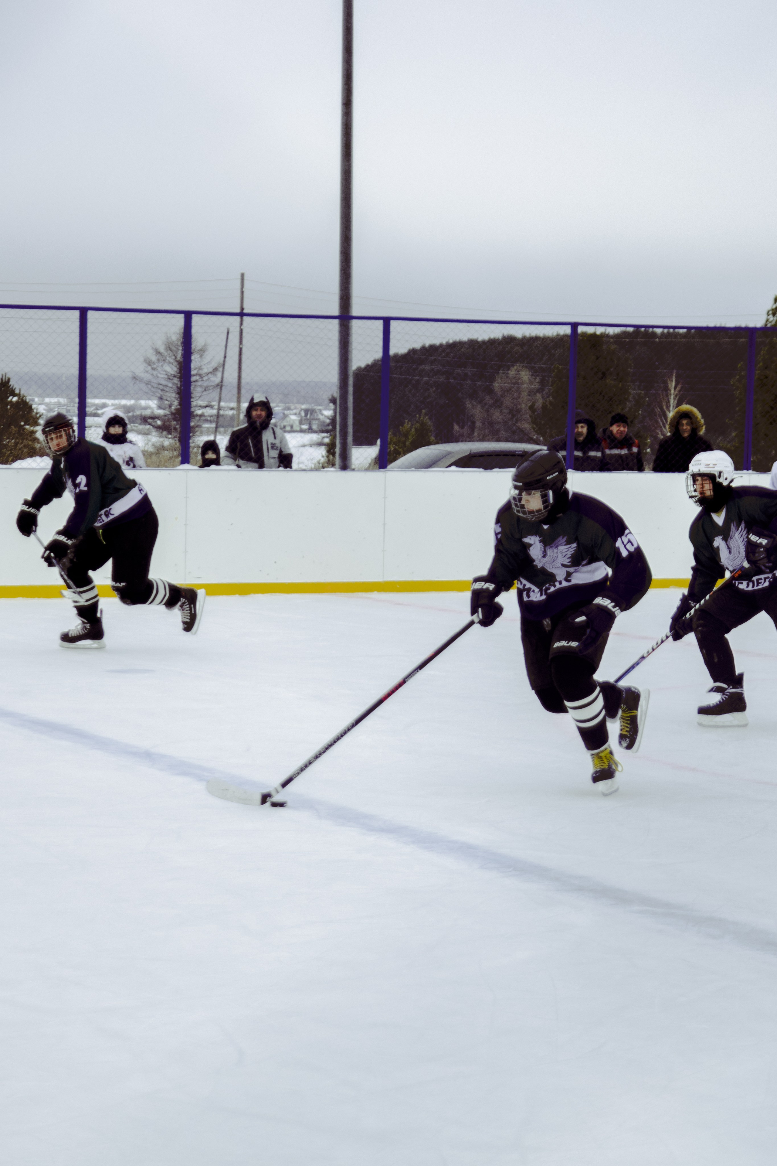 Хоккей 29.12.2024