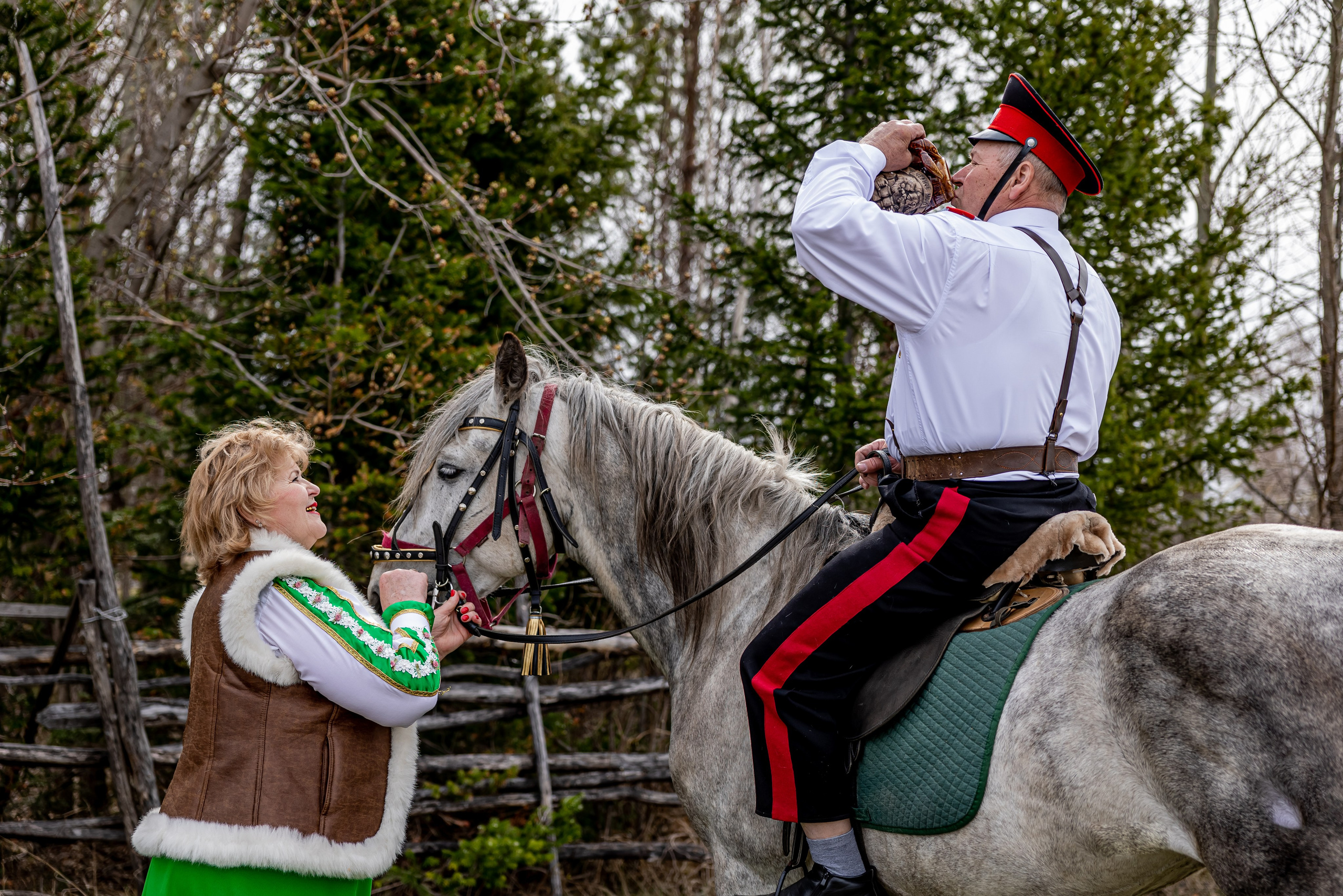 Прогулочная Фотосессия с Лошадьми