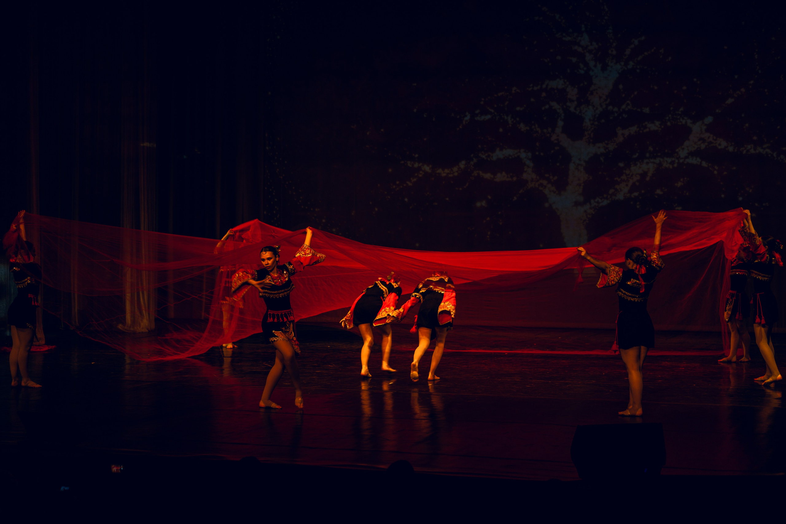 Гала-концерт «Путь к мечте». Tatyana Dubova. Portrait and Family Photographer, Saint Petersburg