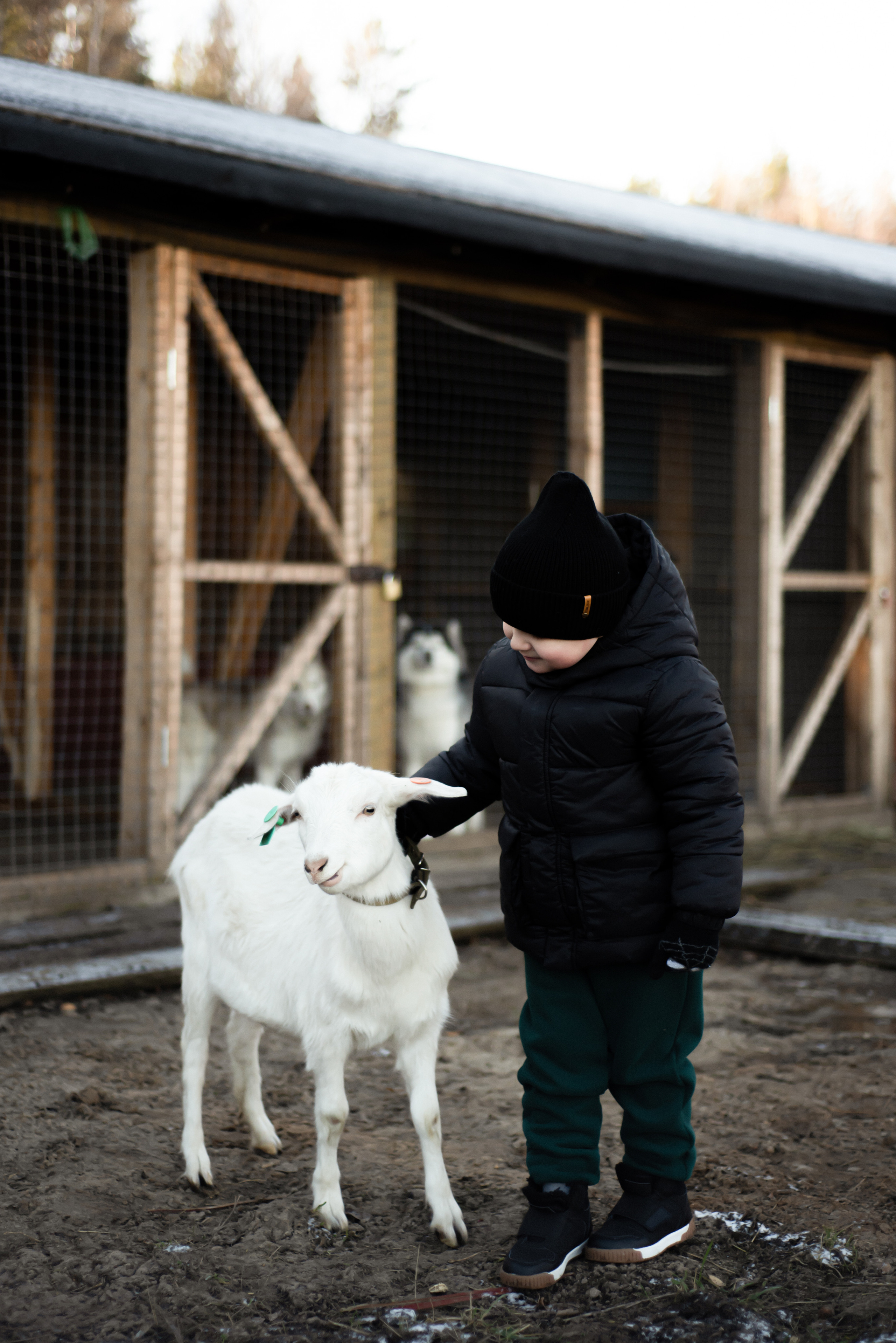 Прогулка на ферме. Детский фотограф в Москве и Московской области. Виноградова Дарья