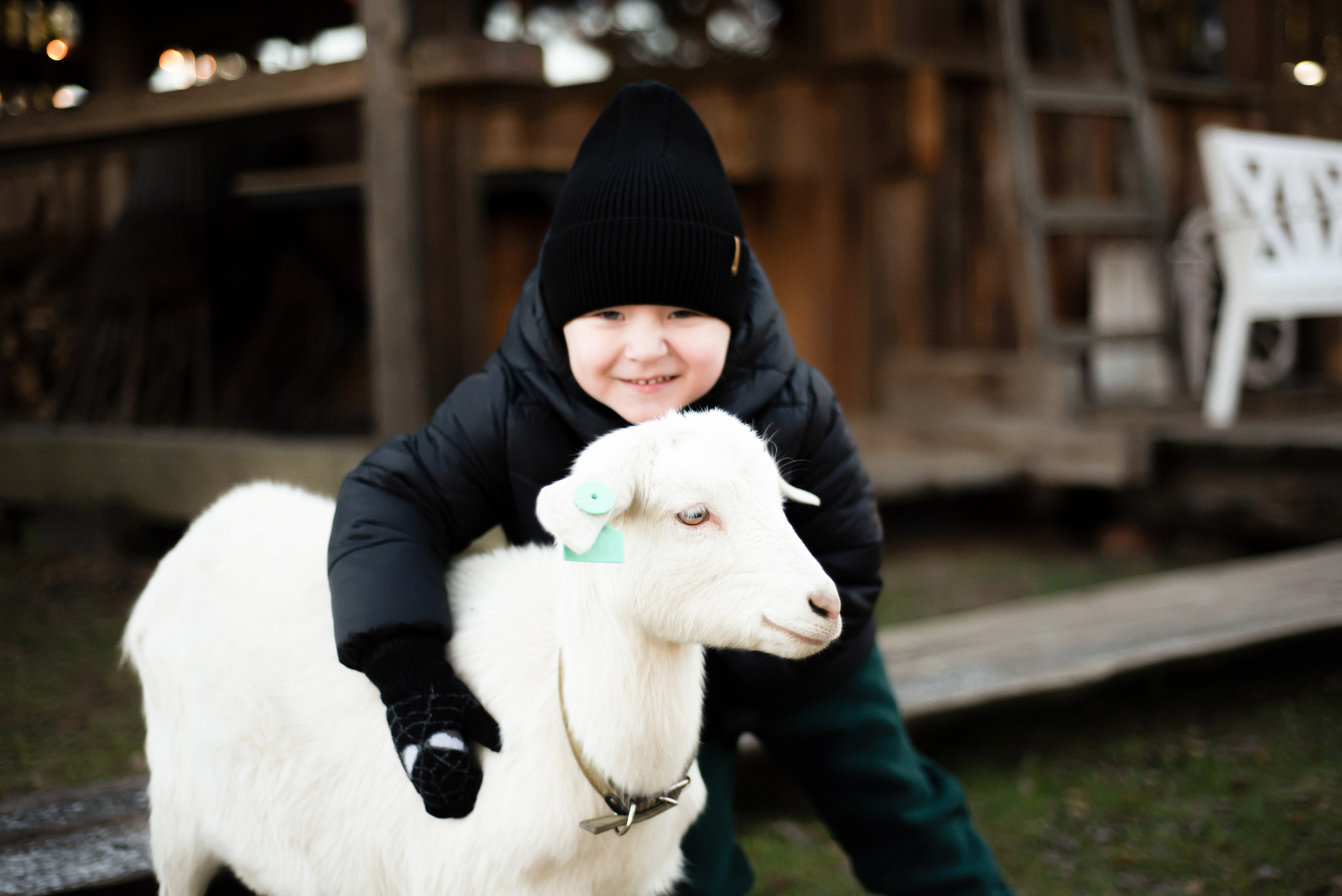 Прогулка на ферме. Детский фотограф в Москве и Московской области. Виноградова Дарья