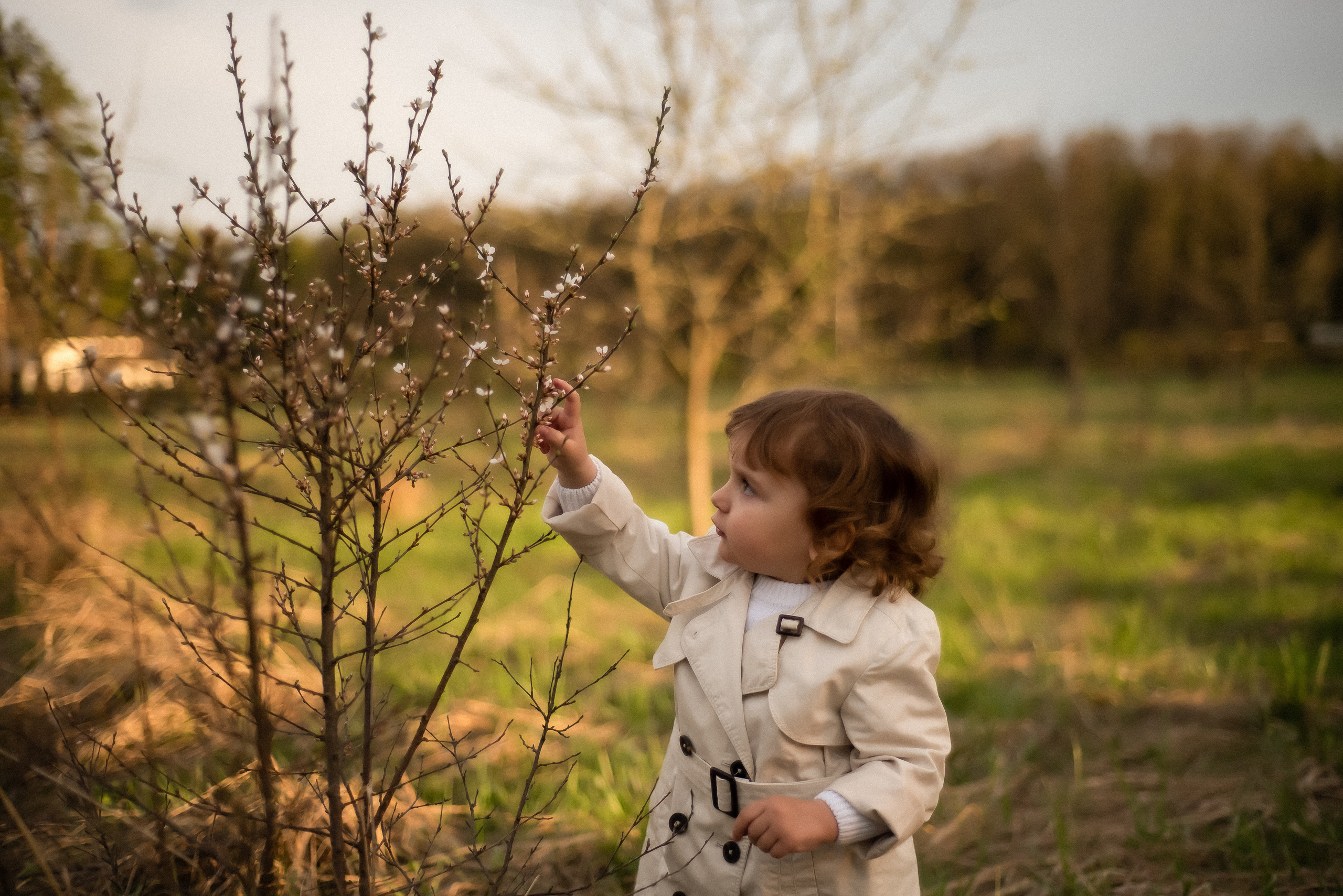 Отзывы. Детский фотограф в Москве и Московской области. Виноградова Дарья