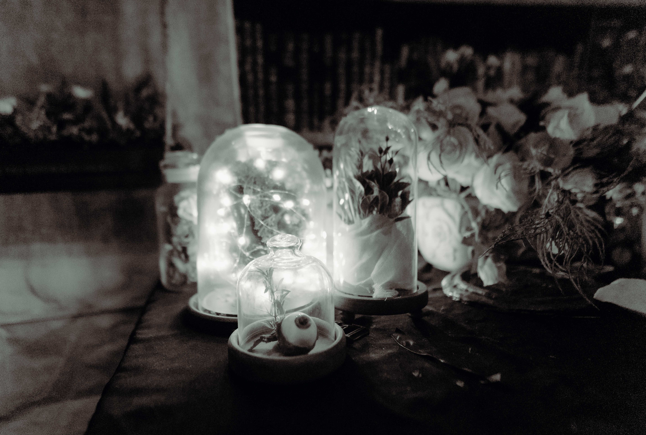 Отряд: эпоха Кометы. Фотограф Аннё| Москва