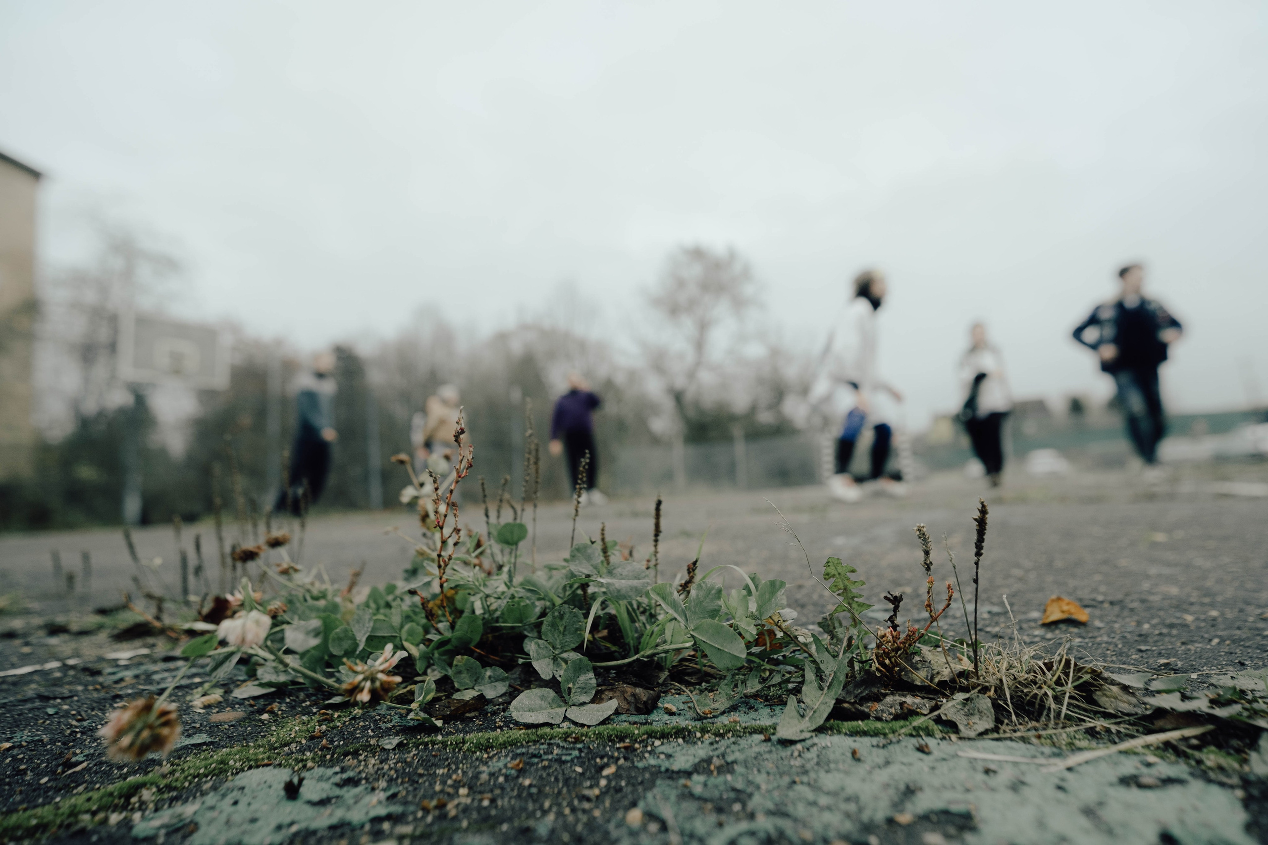 «52 герца». Фотограф Аннё| Москва