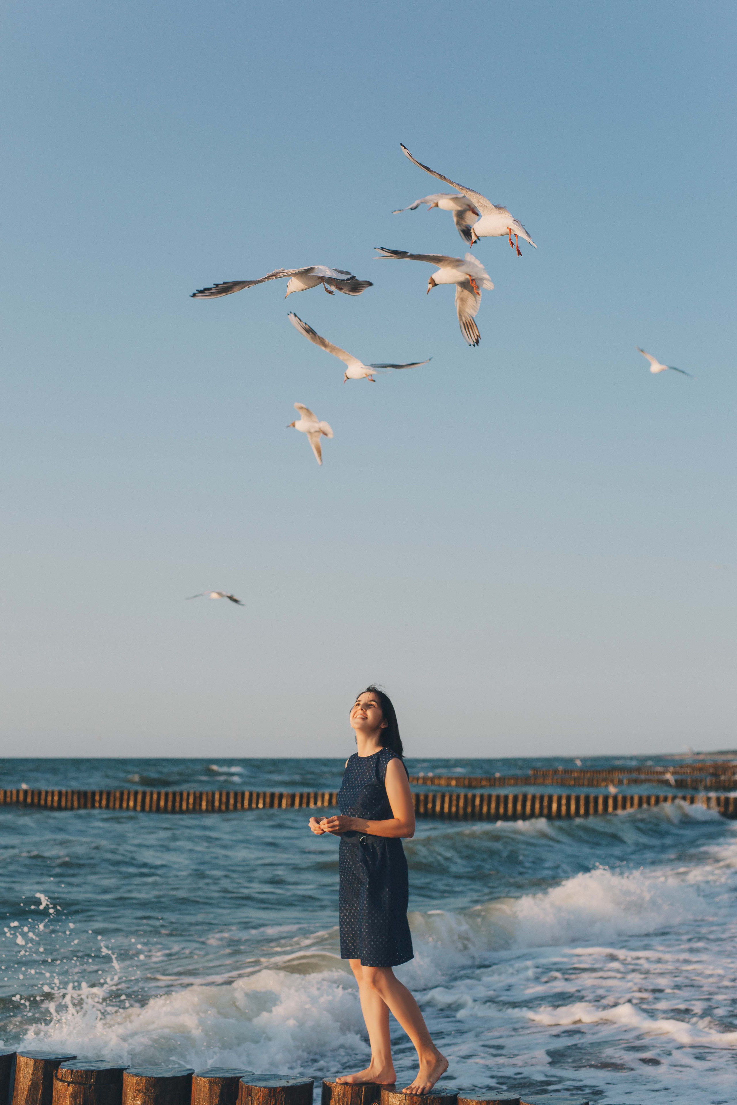 Ирина с семьёй на закате Балтики. Фотограф Зеленоградск Красильникова Елена