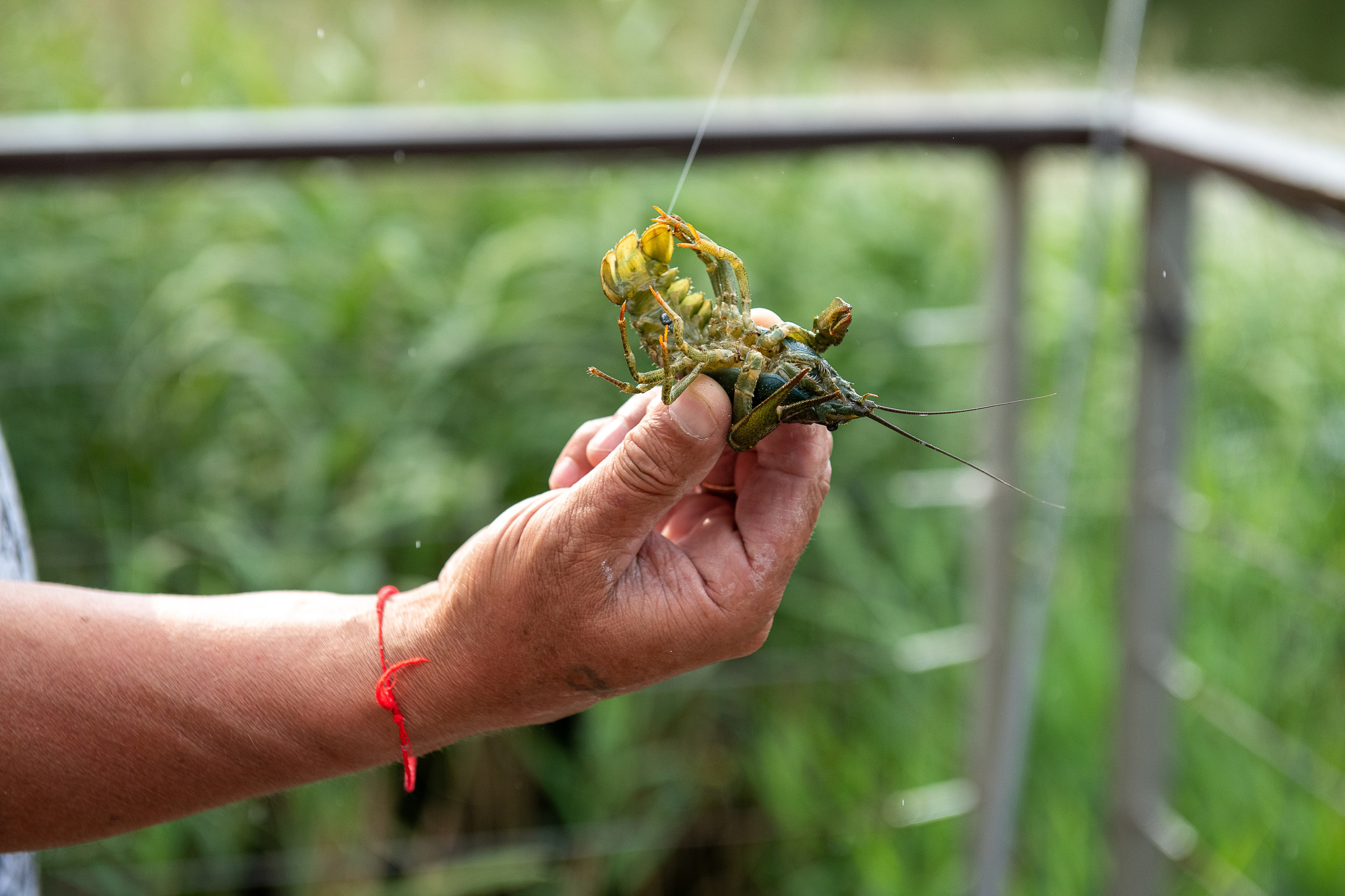 Семья Марии. Свадебный и портретный фотограф в Москве Галина Борисова