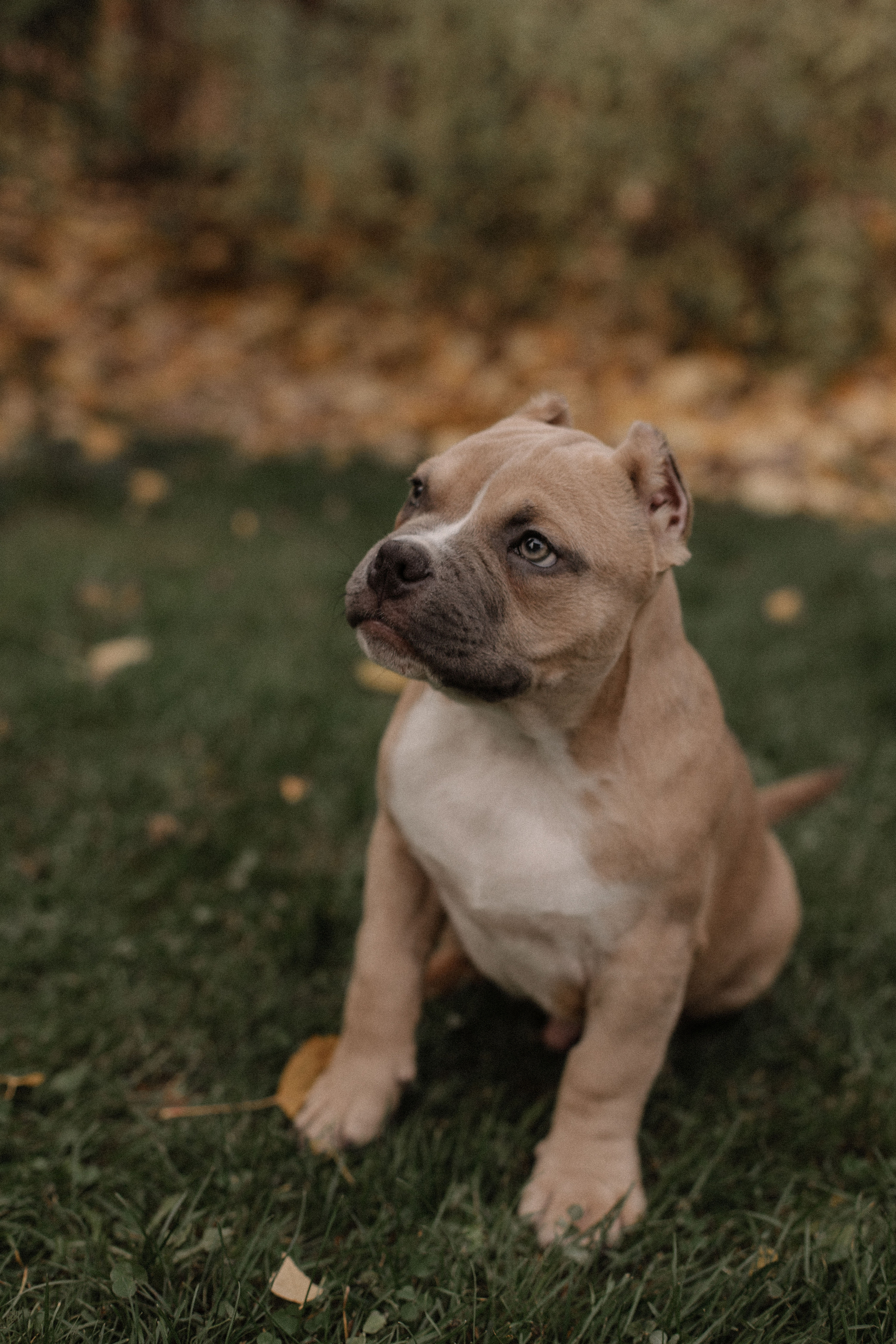 Соня и Юра. Портретный и свадебный фотограф в Москве Алина Гевал