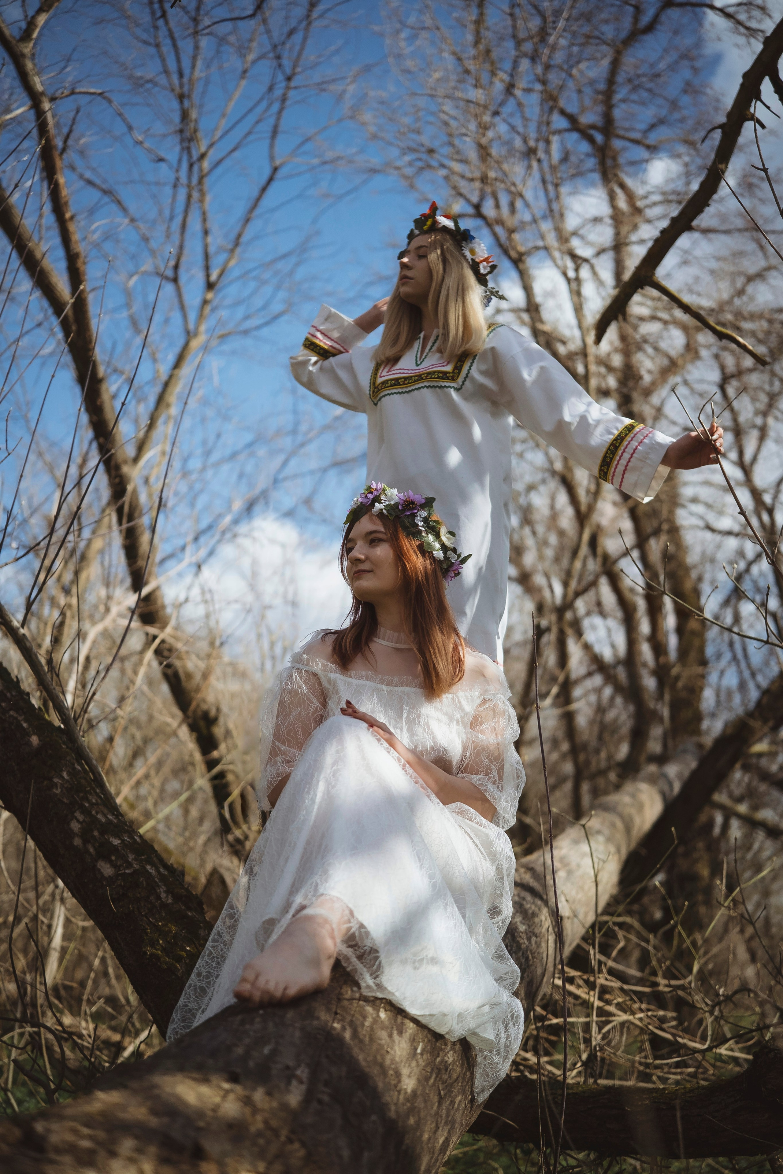 Зеленый остров. Главная