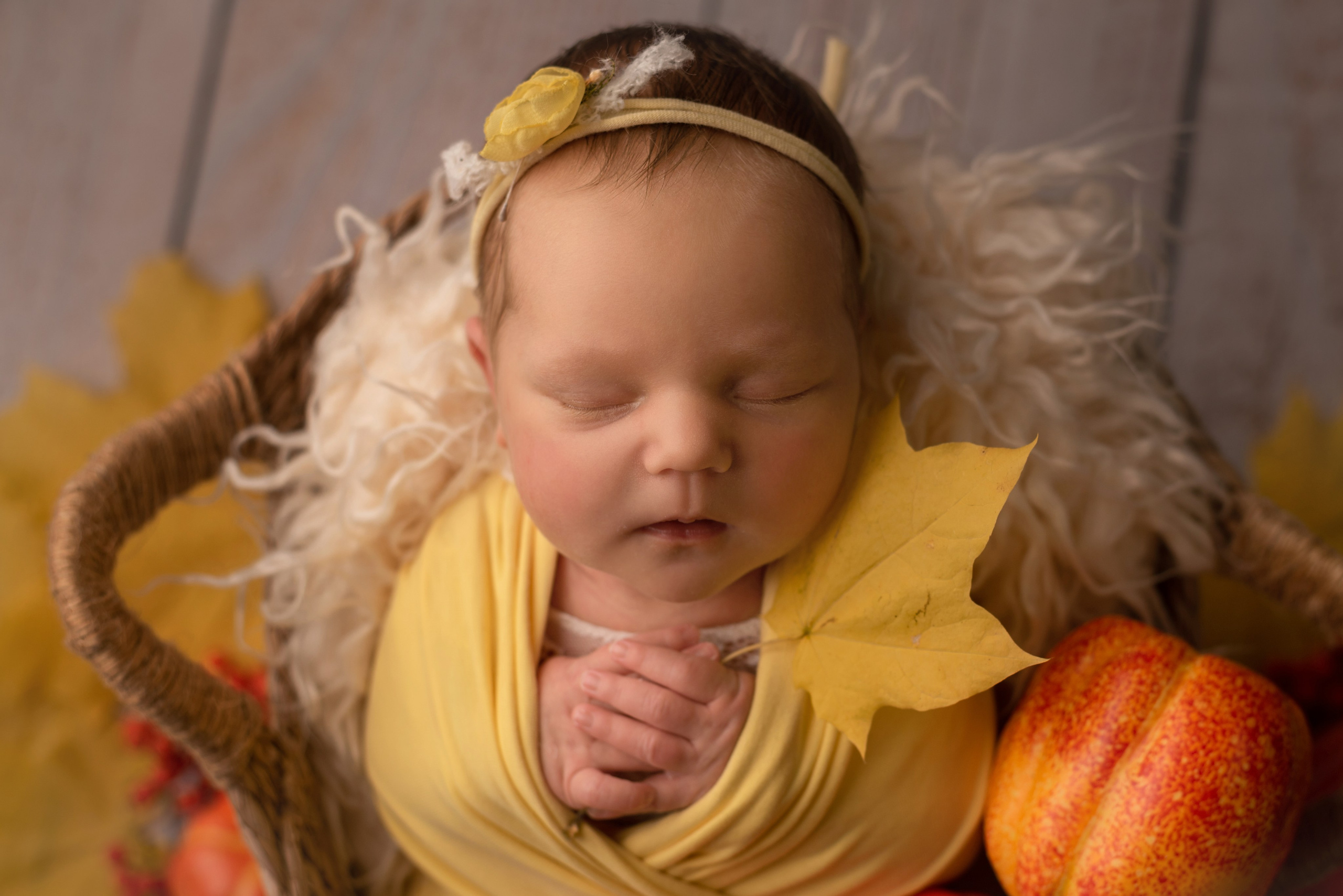 Photos of newborn babies. Photographer of newborns and children up to a year in Montenegro