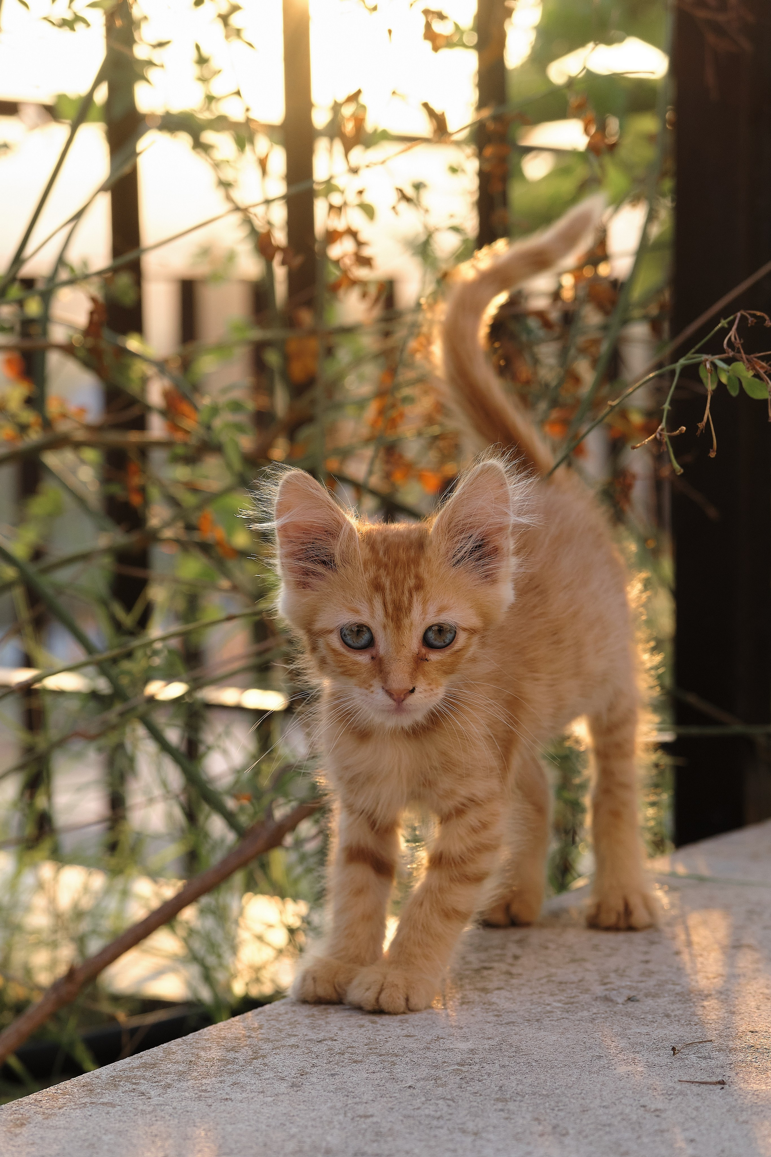 Cyprus 2023 / february. Aleksandr Kobtsev