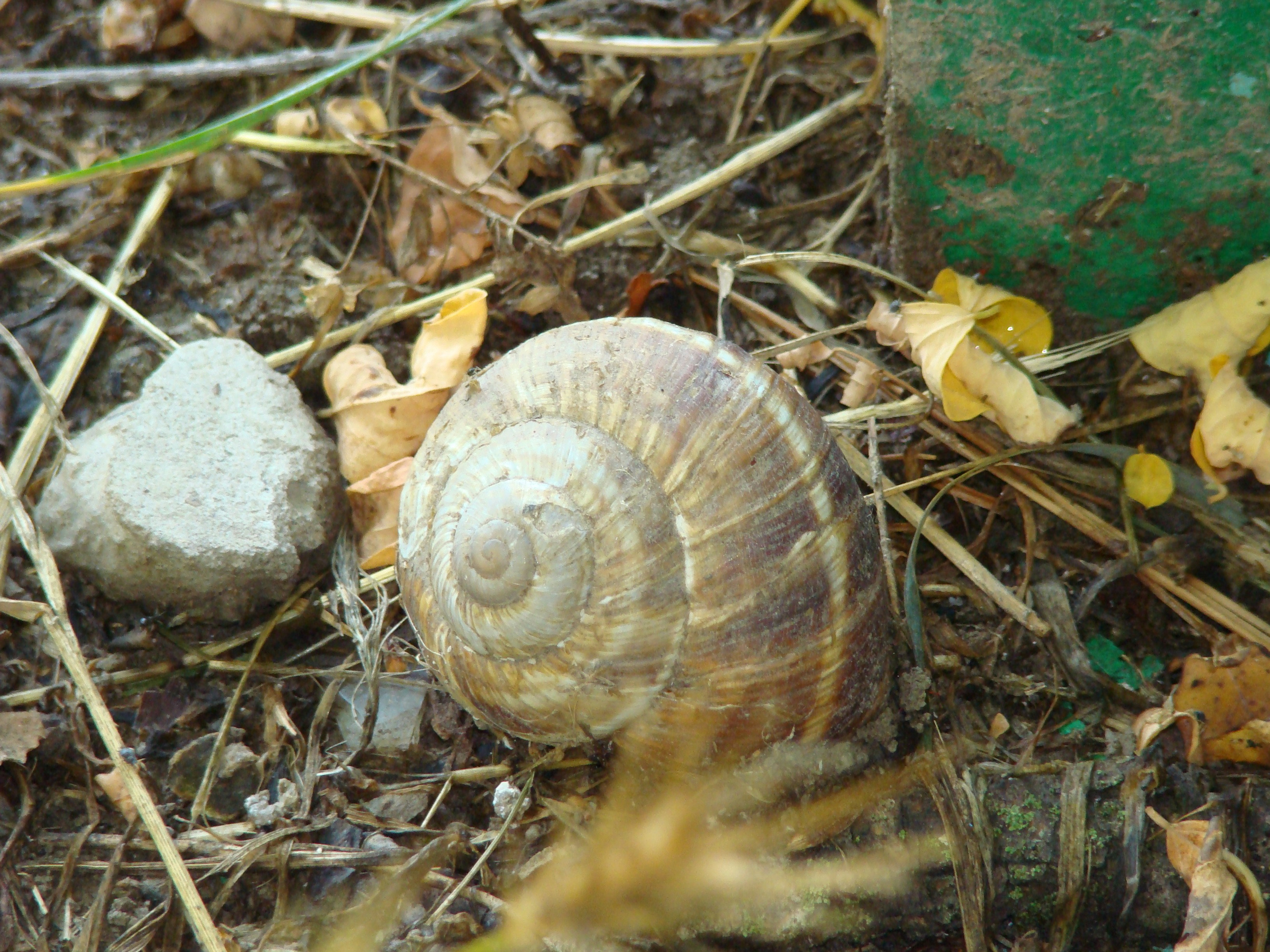 Кабардинка (фото Зевиных) 25.06-24.07.2008. Семейный, Свадебный фотограф СПБ Питер— Романова Екатерина
