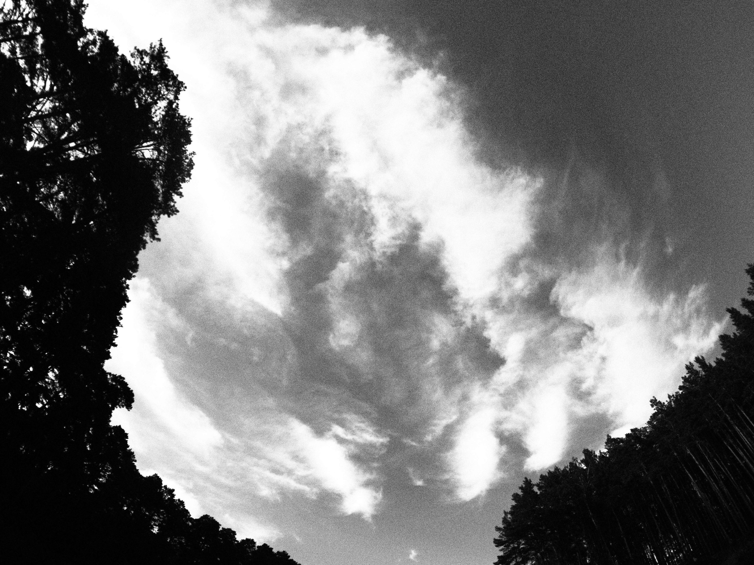 Промежуточные моменты (2023)