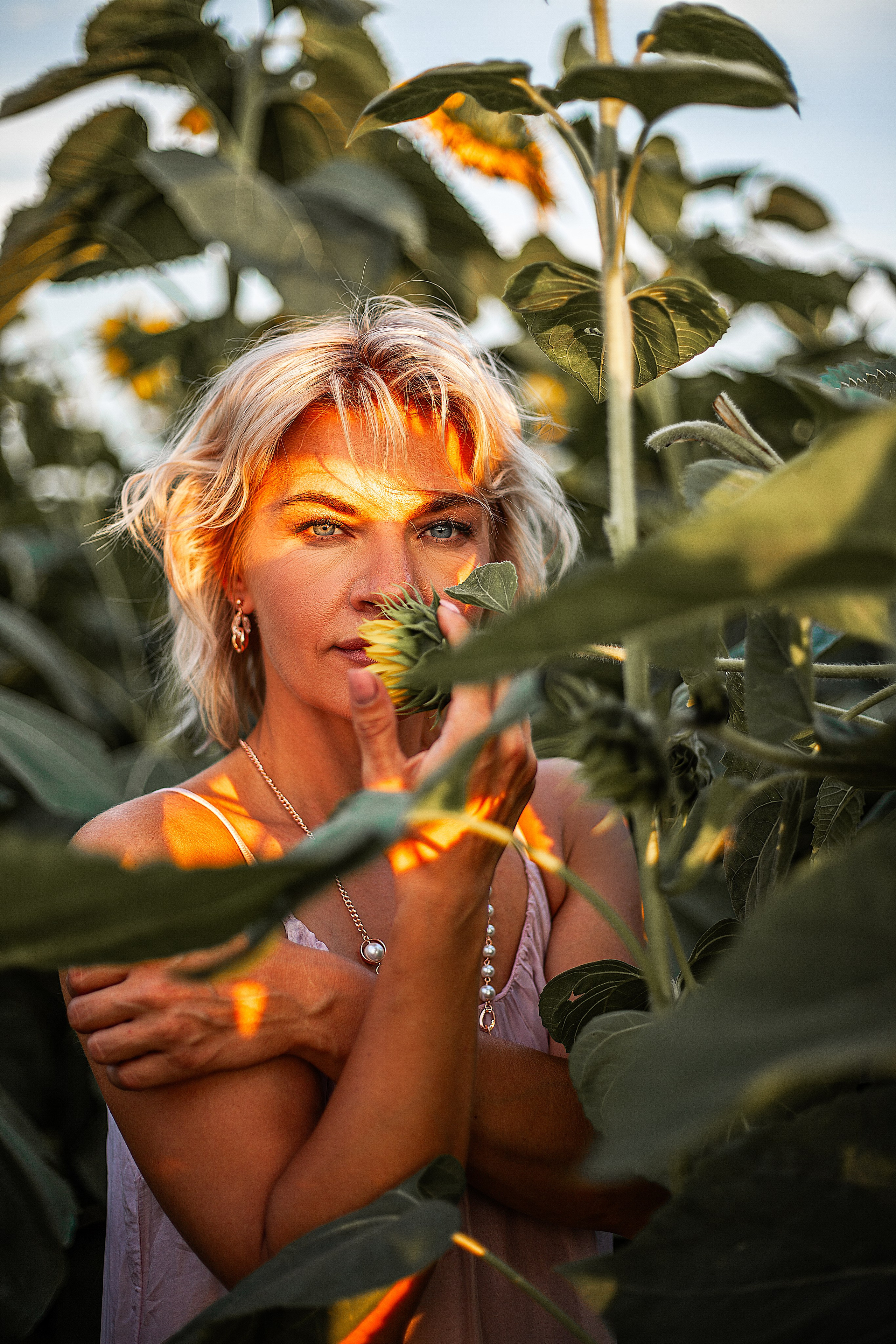 Подсолнухи!