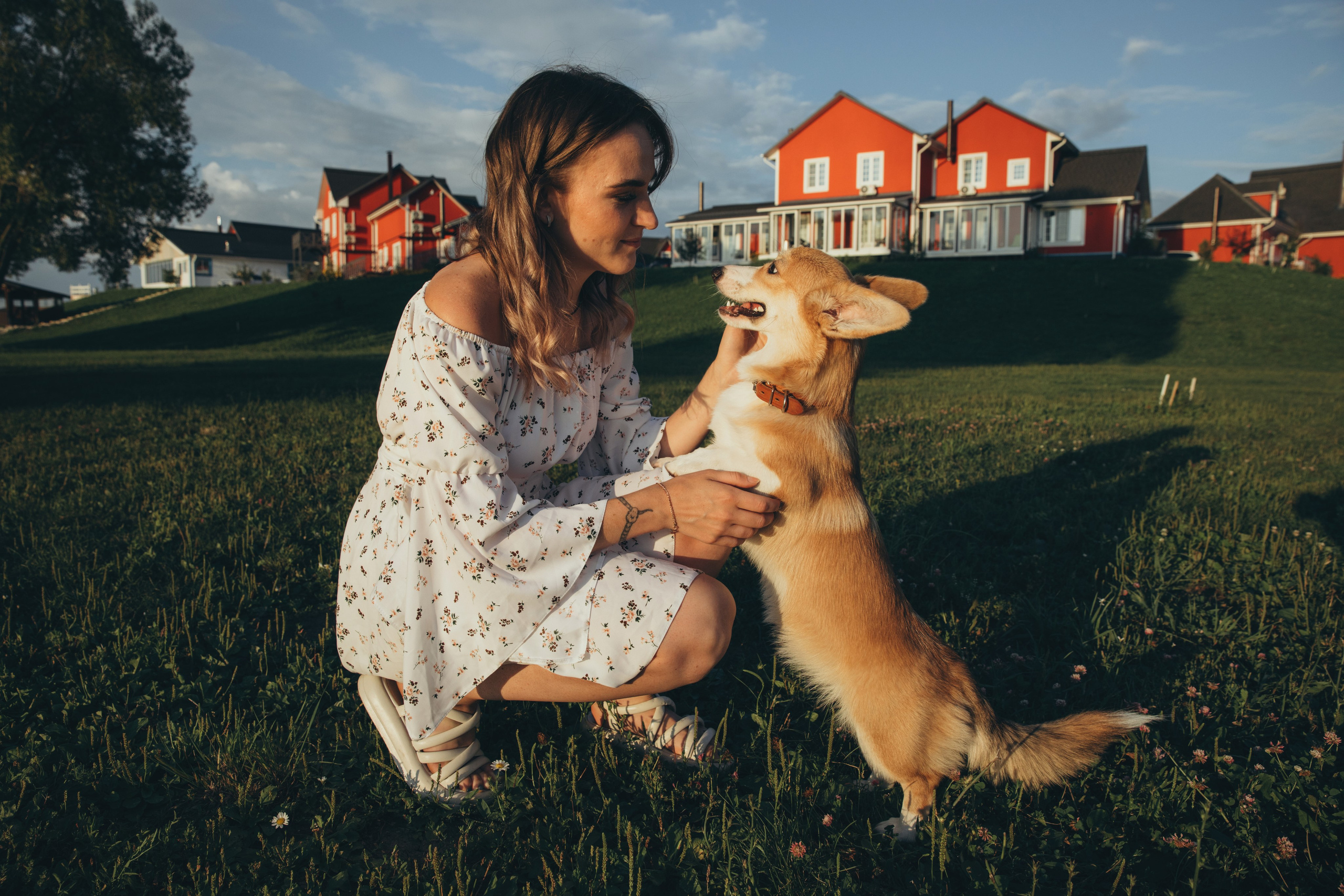 4 лапы, 2 пары ног и одно сердечко на троих ❤. Фотограф Анастасия Романова Рязань