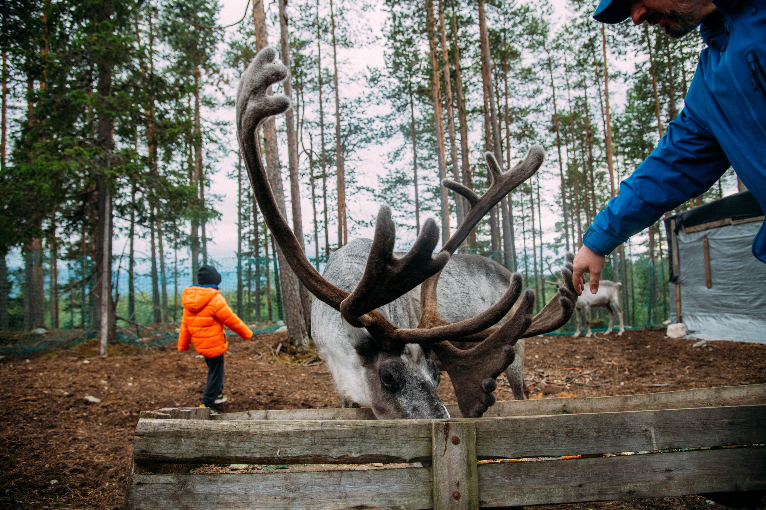 Кольский полуостров. Фотографирую для себя, своей семьи и друзей!