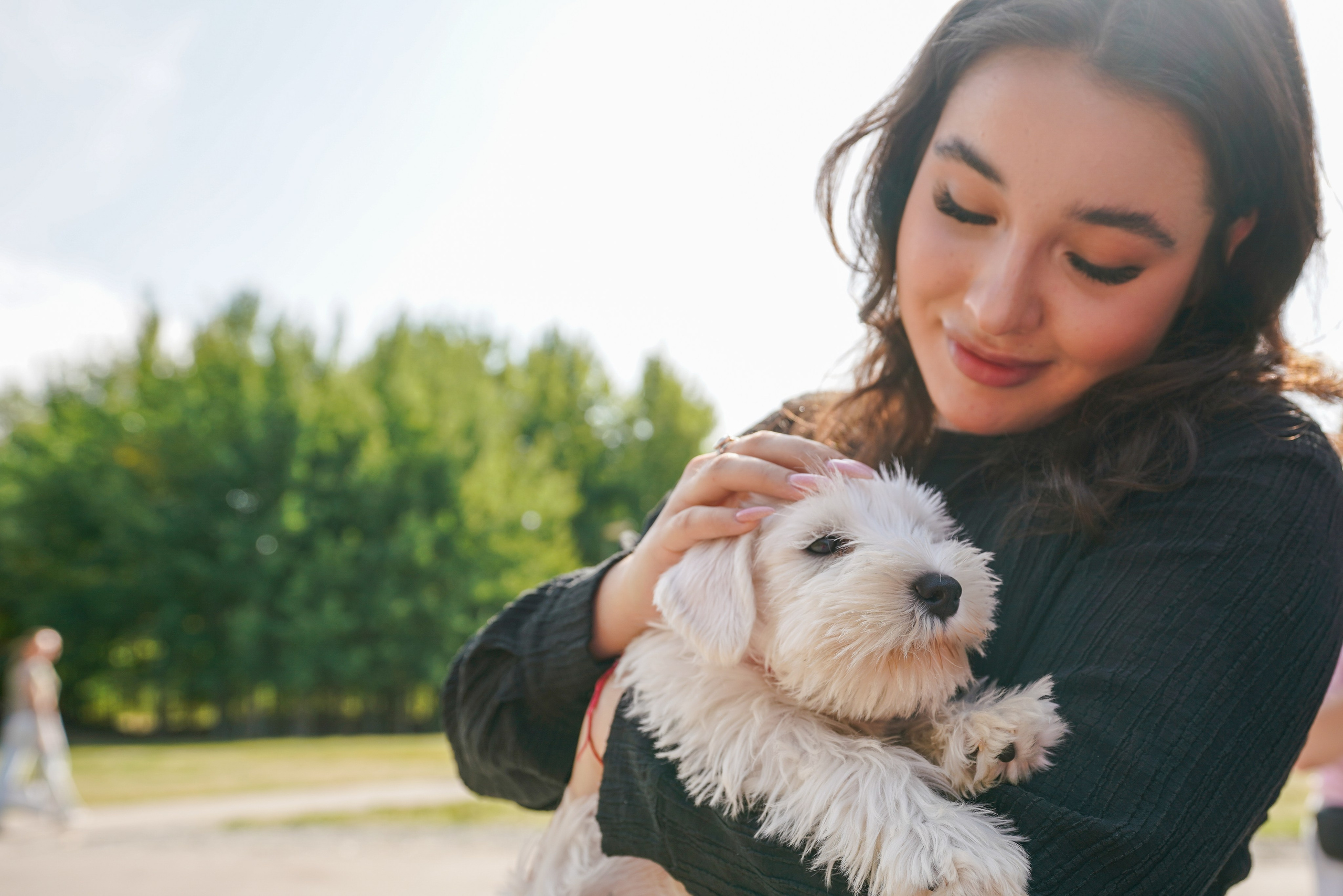 ДР собаки по имени Моррис :). Фотограф Казань
