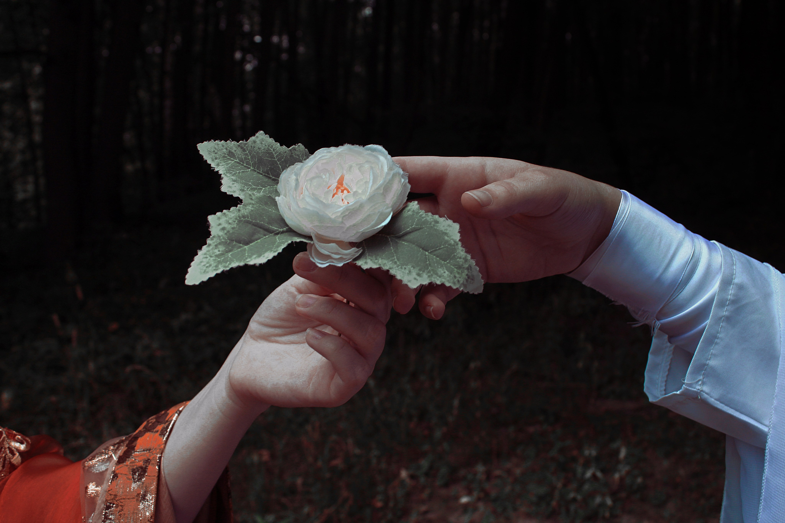 Принц и Монах. Тушкан фотограф