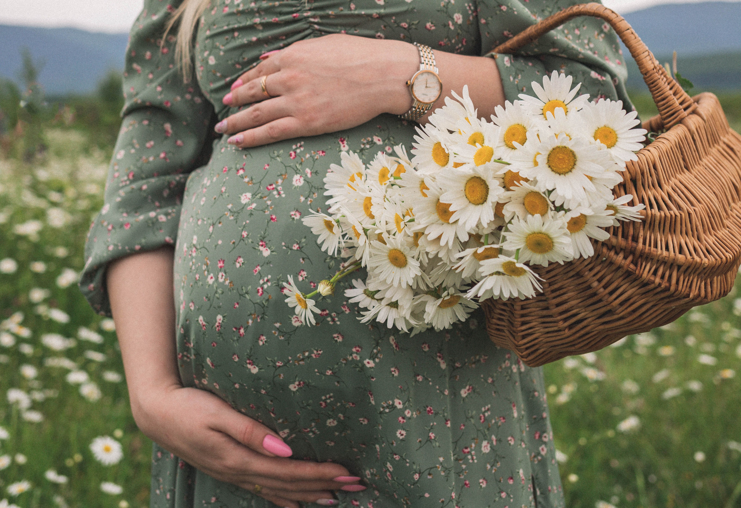 РОМАШКИ. Фотограф Немазенко Ольга