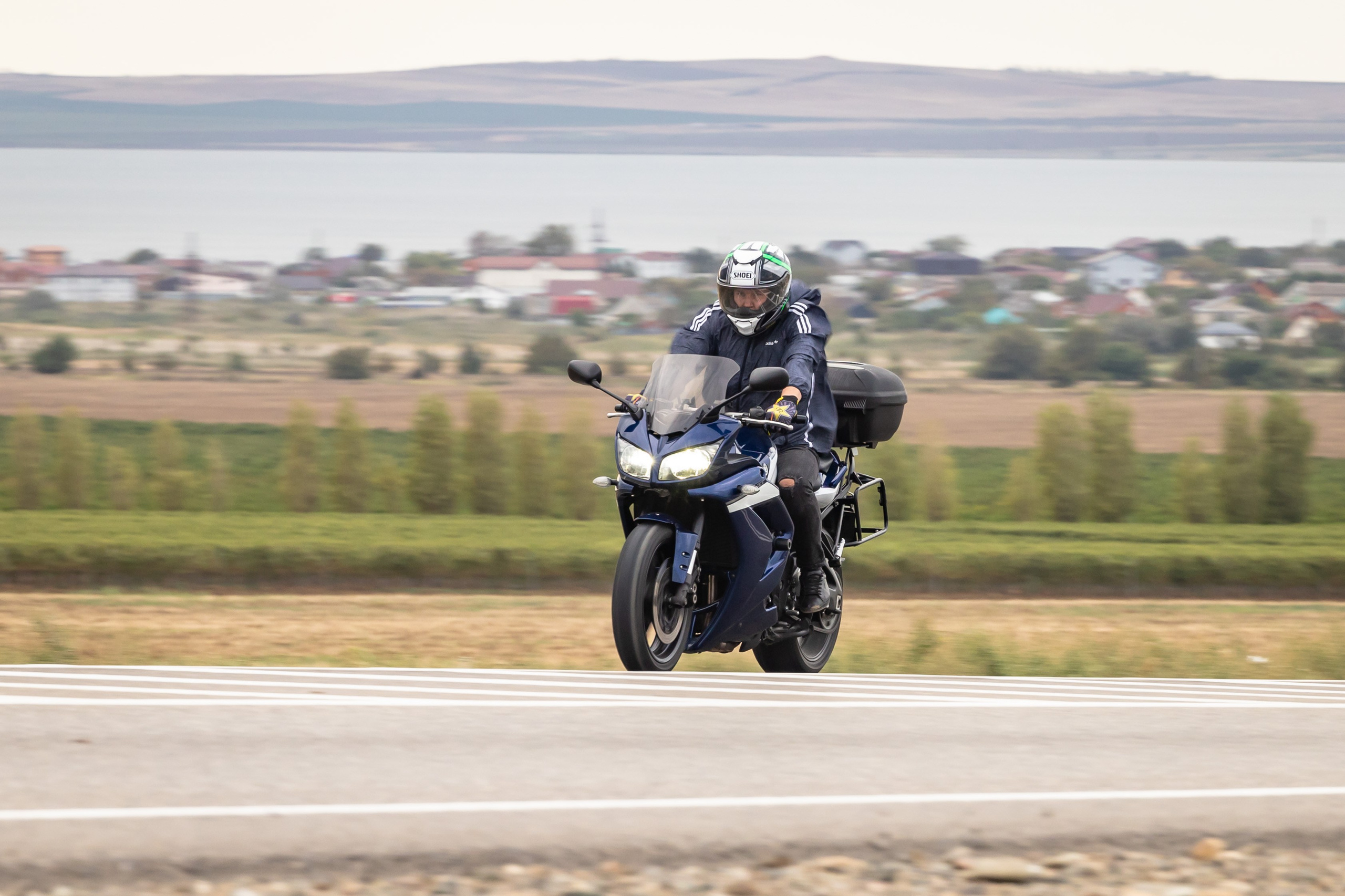 Южное Сафари в Тамани. Сентябрь 2024. Фотограф Владимир Охрименко