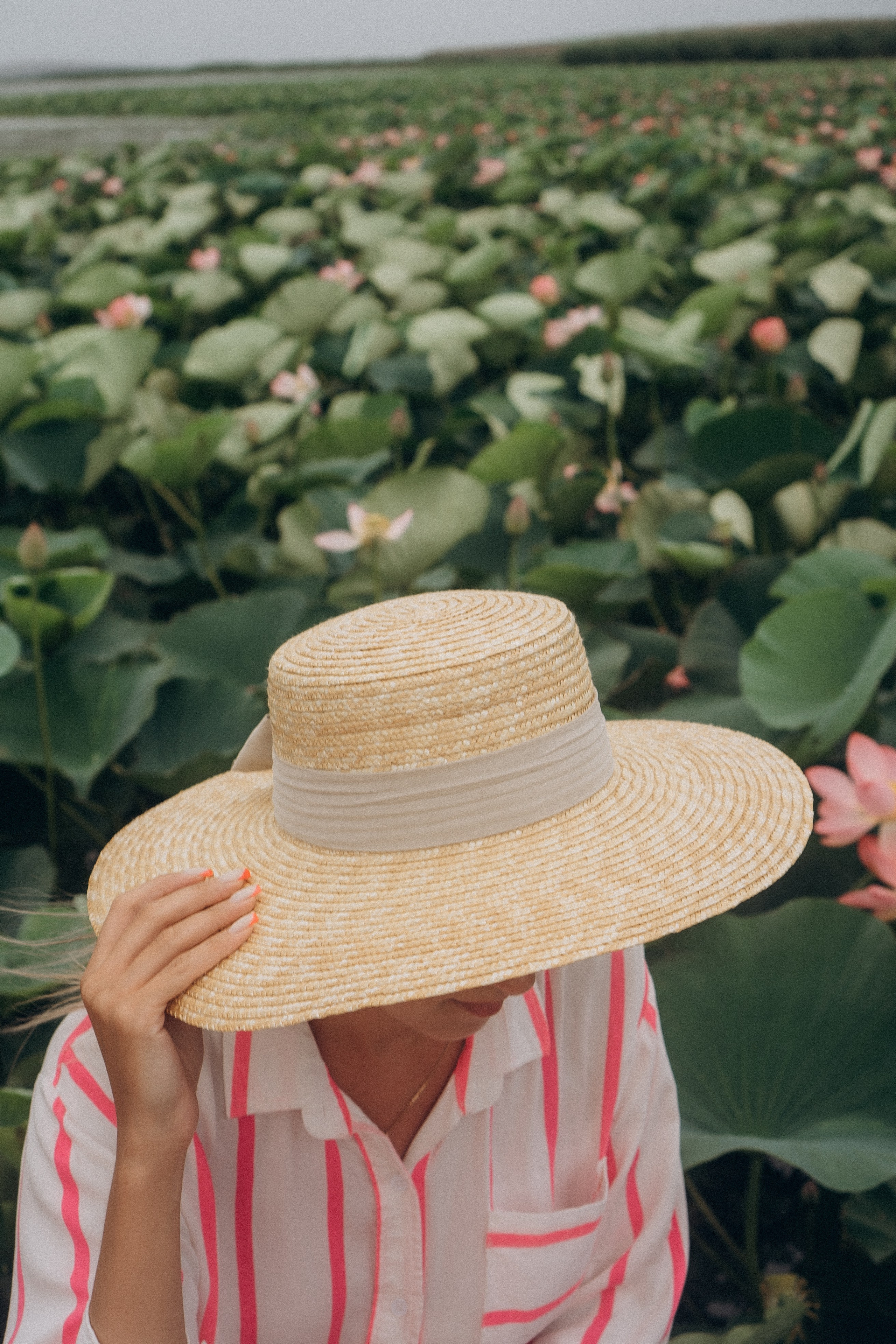 ЛОТОСОВАЯ ПОЛЯНА. Профессиональный фотограф, Санкт-Петербург — Виктория Богомолова
