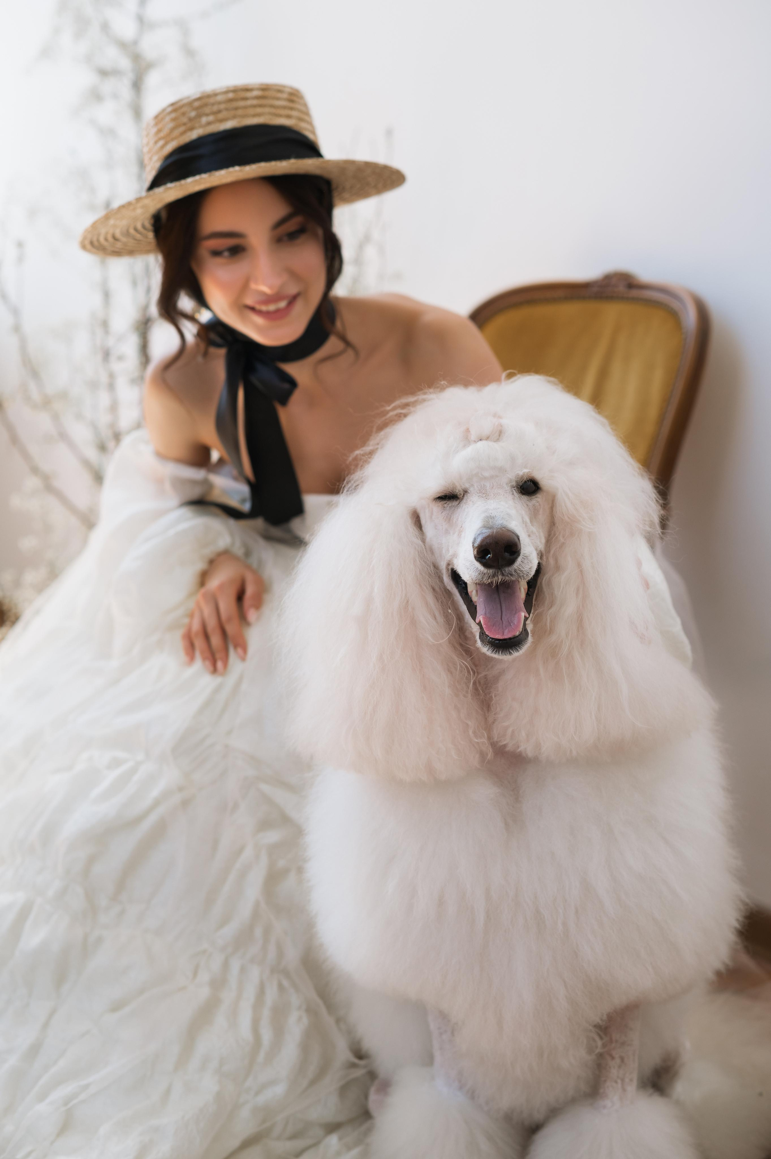 Рене. Свадебный фотограф в Белгороде Владимир Золотарев