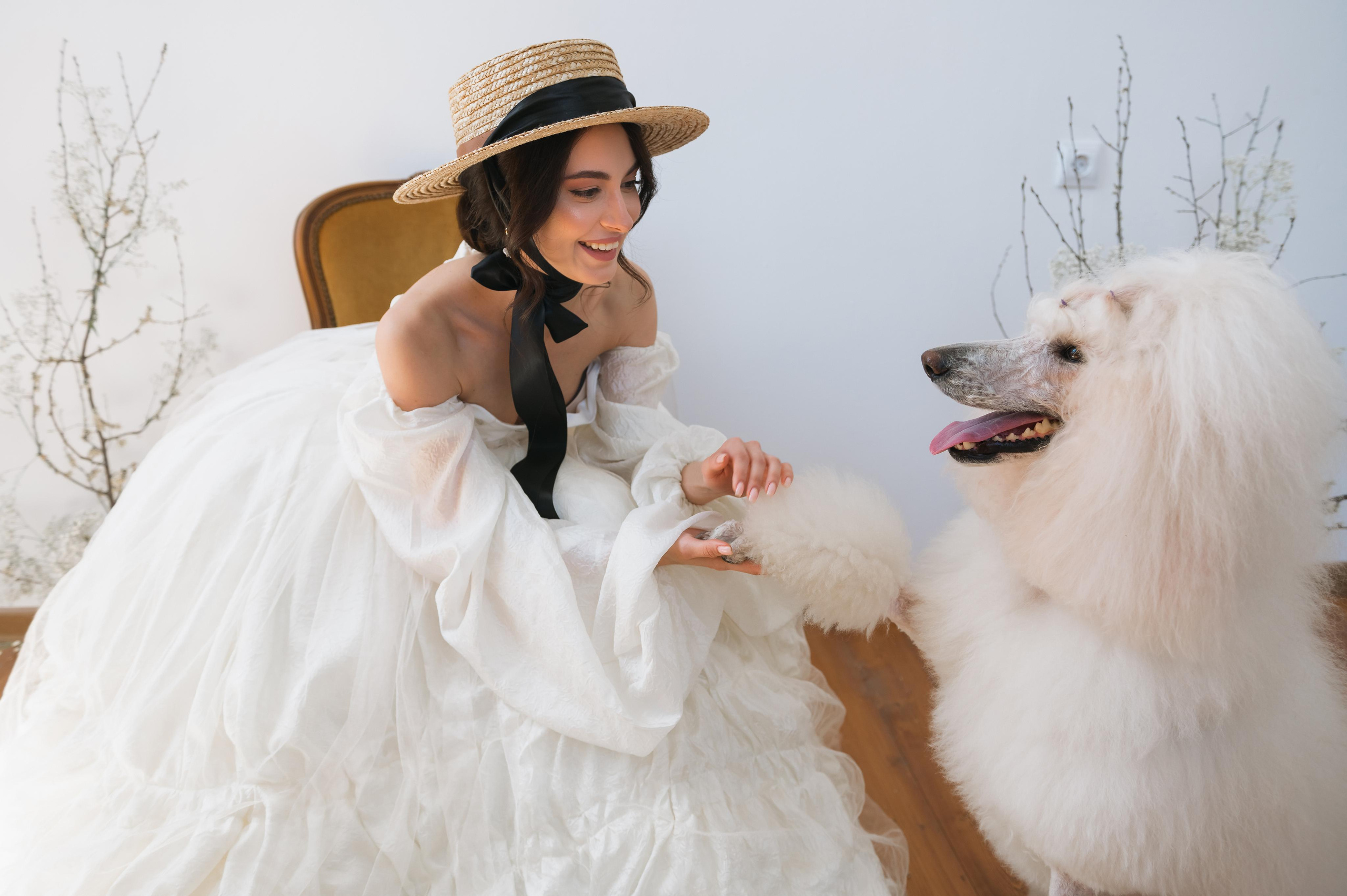 Рене. Свадебный фотограф в Белгороде Владимир Золотарев