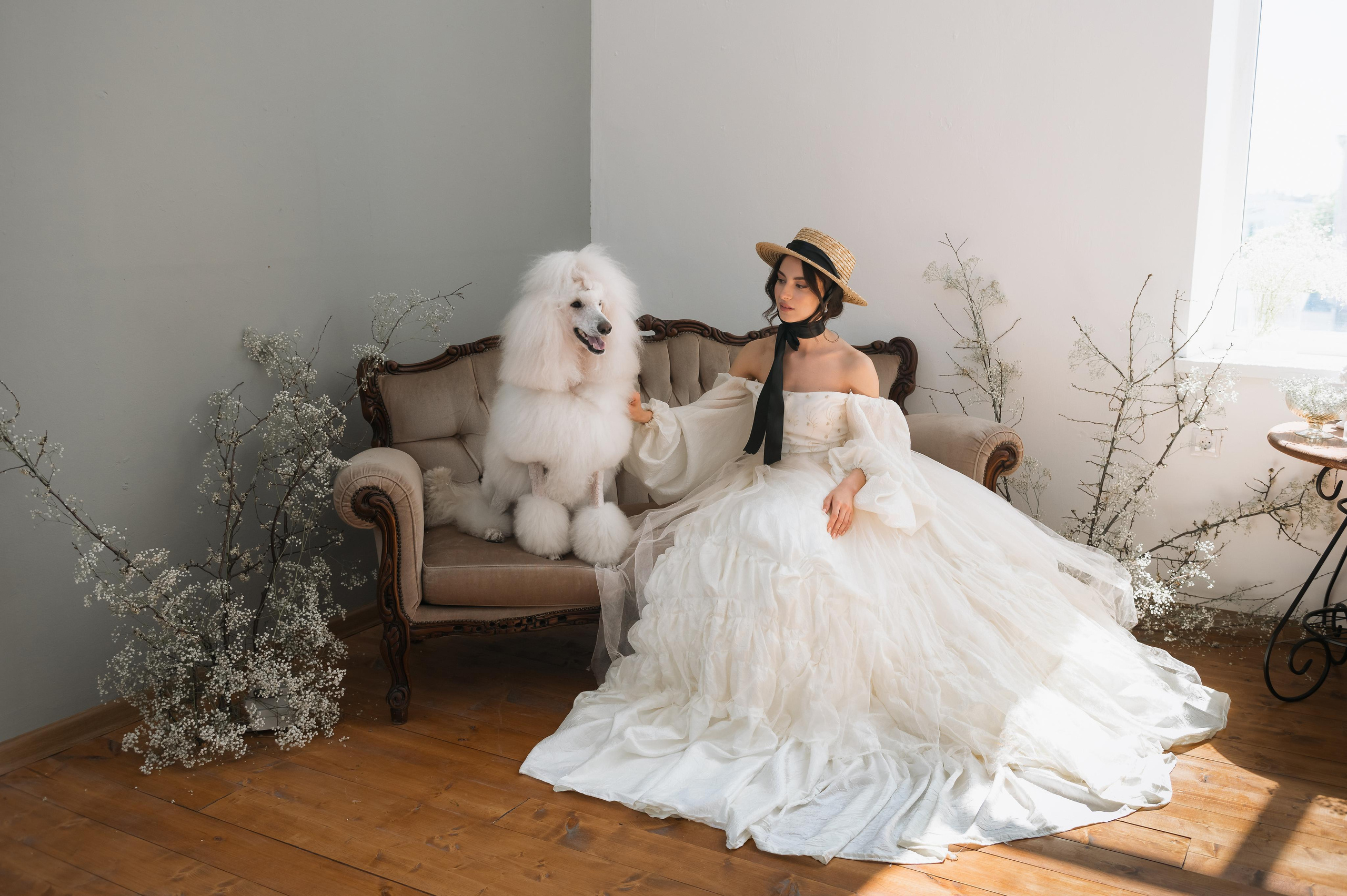 Рене. Свадебный фотограф в Белгороде Владимир Золотарев