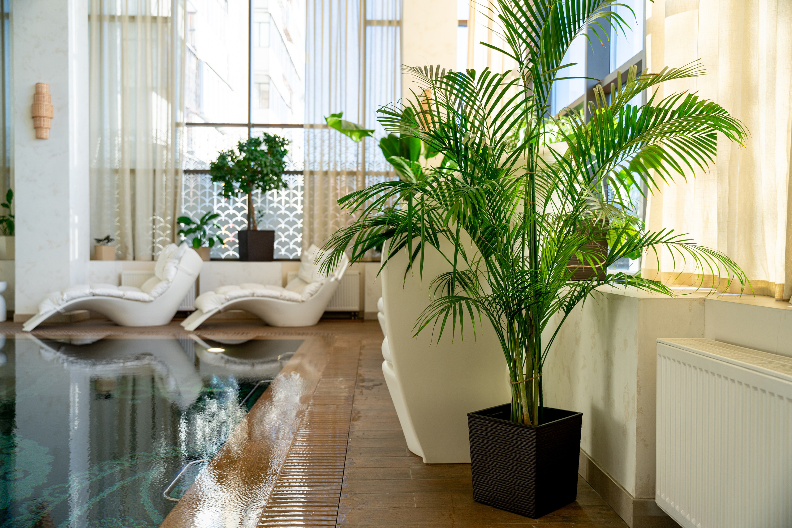 БУТА СПА. Фотограф на любое мероприятие