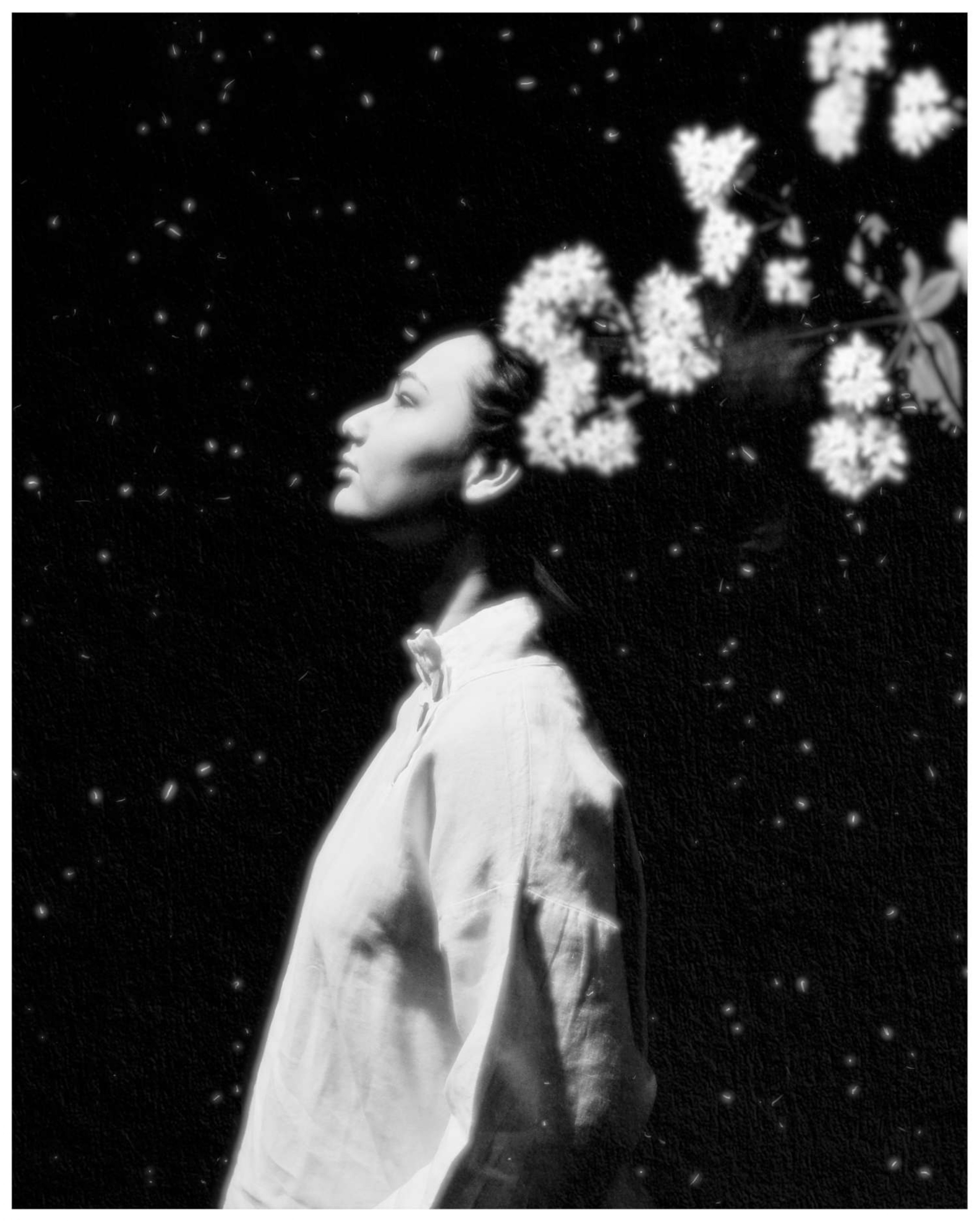 Дарья Явныч