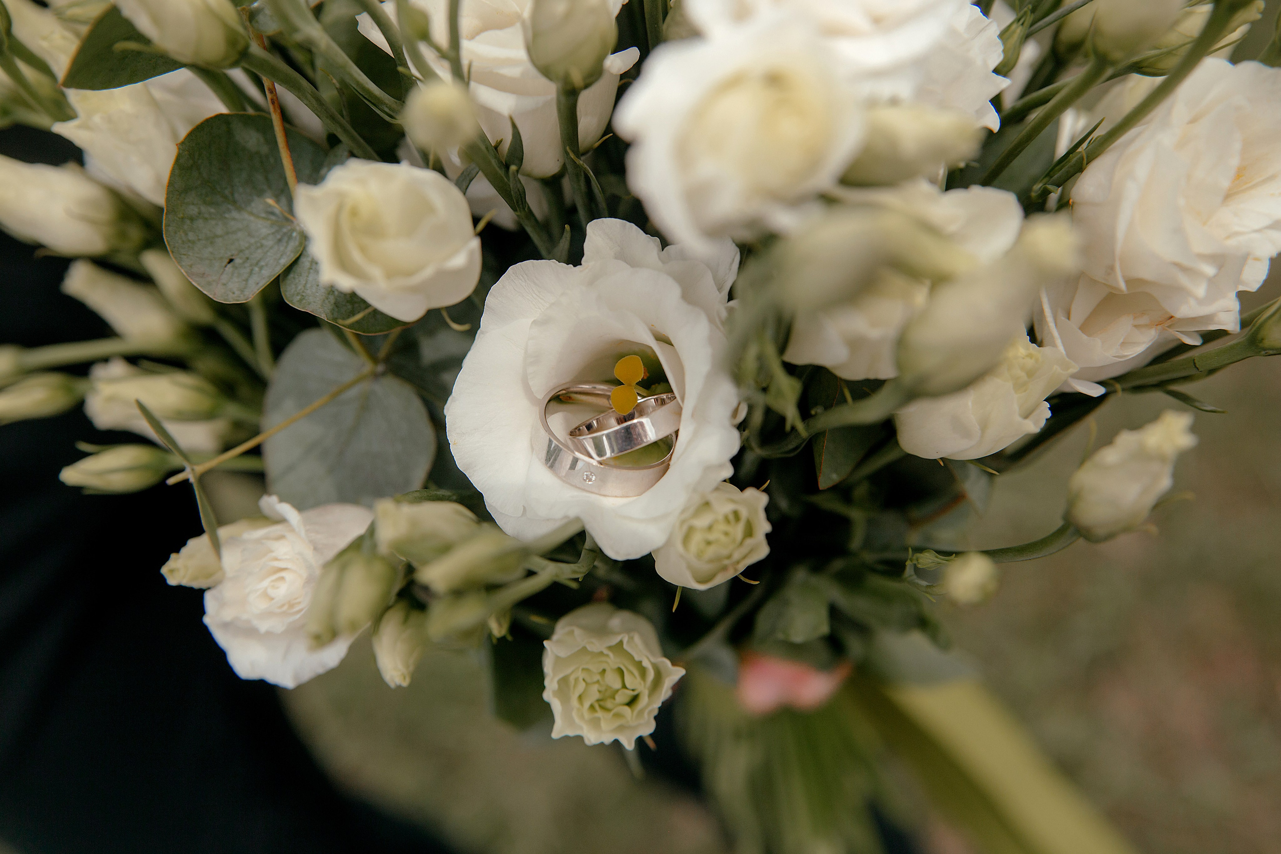Даниил & Полина. Свадебный и семейный фотограф в Самаре и Тольятти Башкатова Ольга
