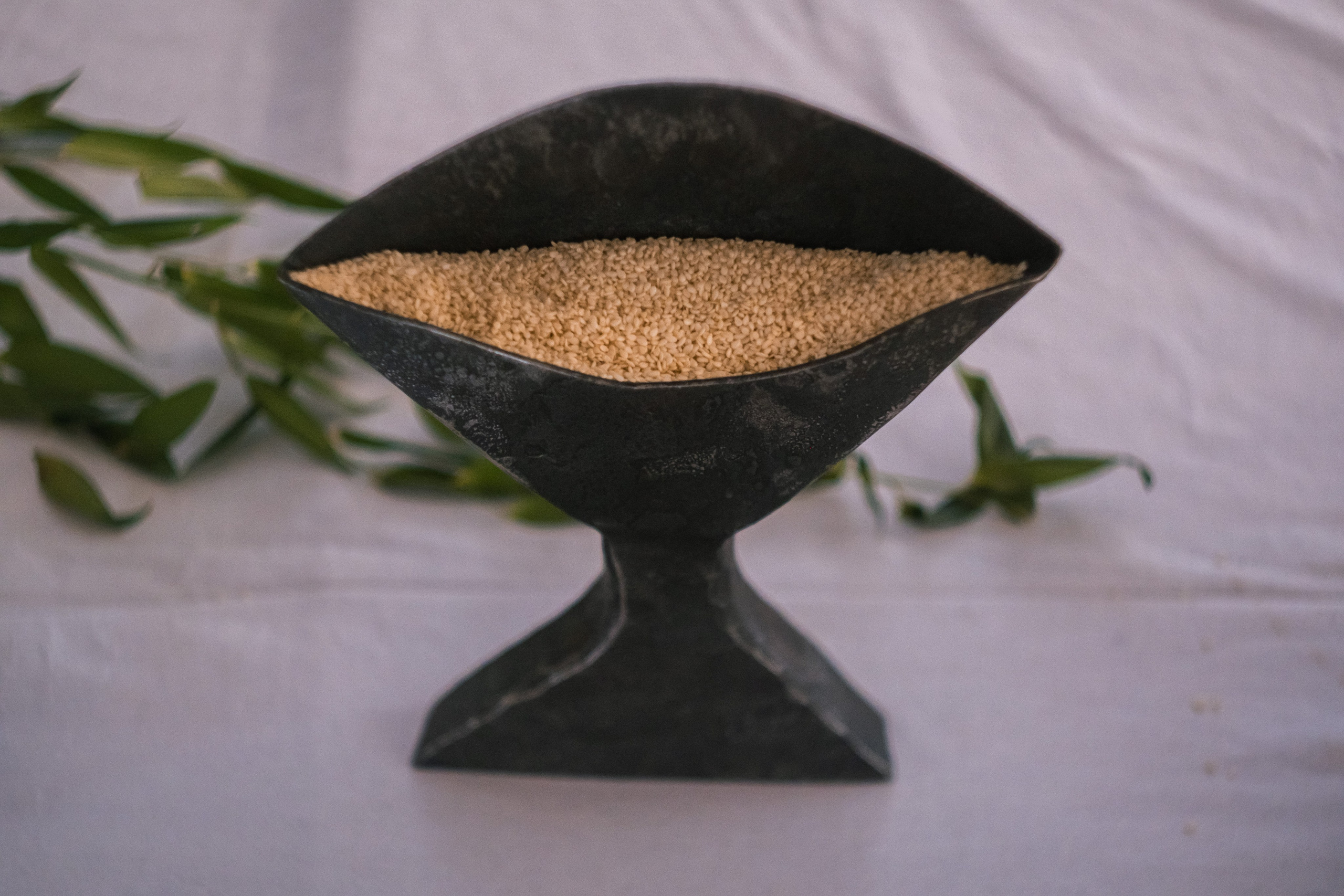 Семён и Алина. Мария Сигина-Лавданская